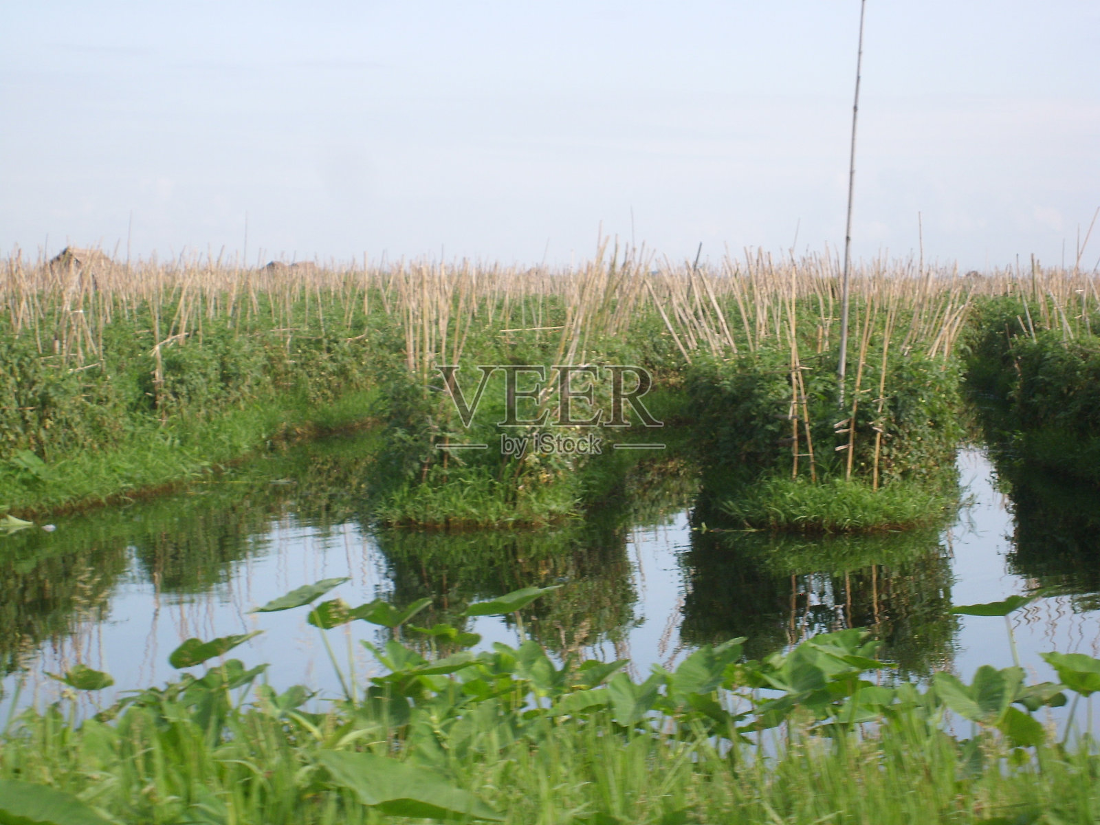 著名的水上花园照片摄影图片