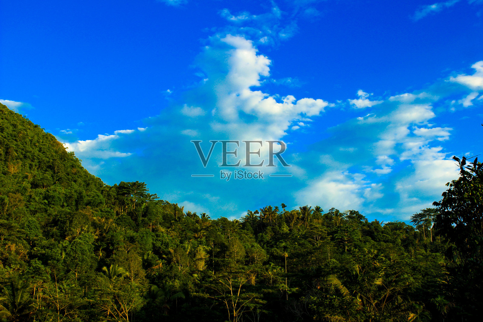 宁静的森林景观，有山、树和蓝天照片摄影图片