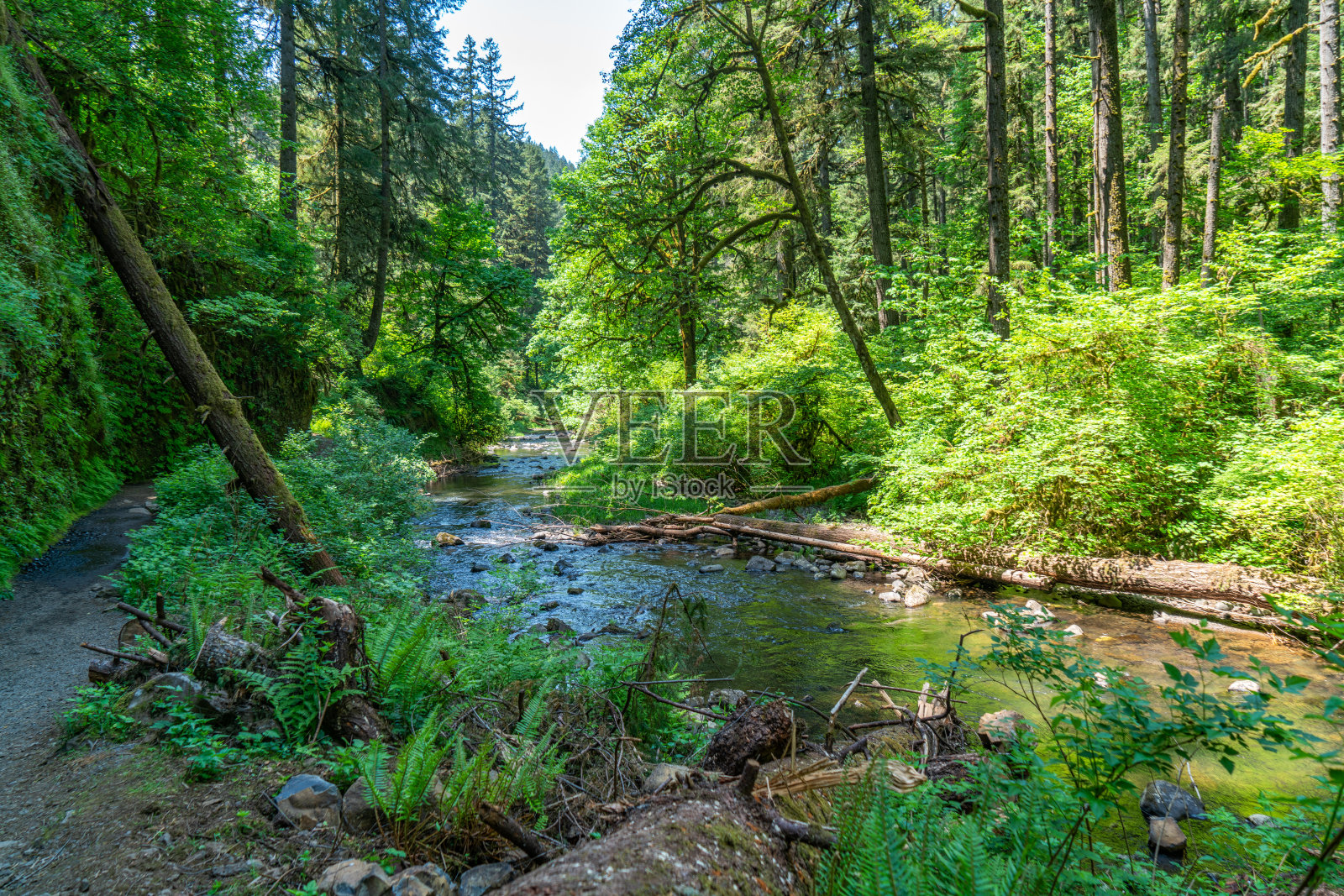 银溪公园照片摄影图片