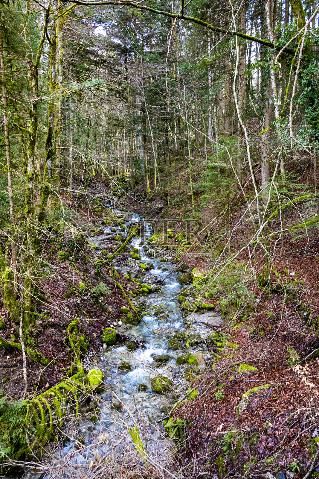 河流的山照片摄影图片