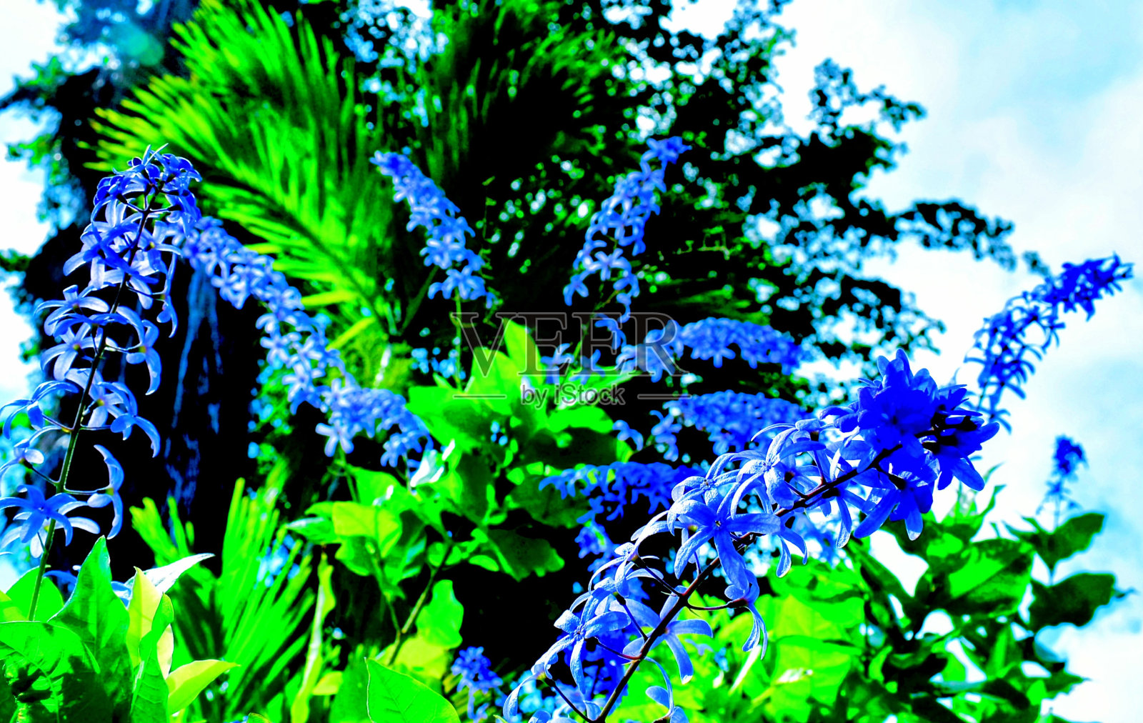 塔塔、山脉和海洋海滩是安提瓜的主权照片摄影图片