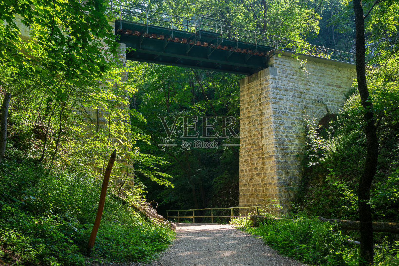 匈牙利巴科尼的铁路桥森林照片摄影图片