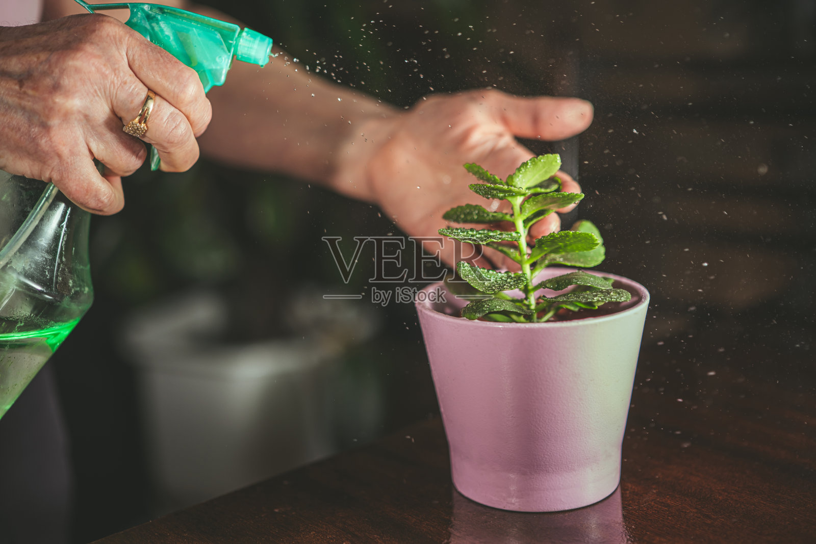 有爱心的照片摄影图片