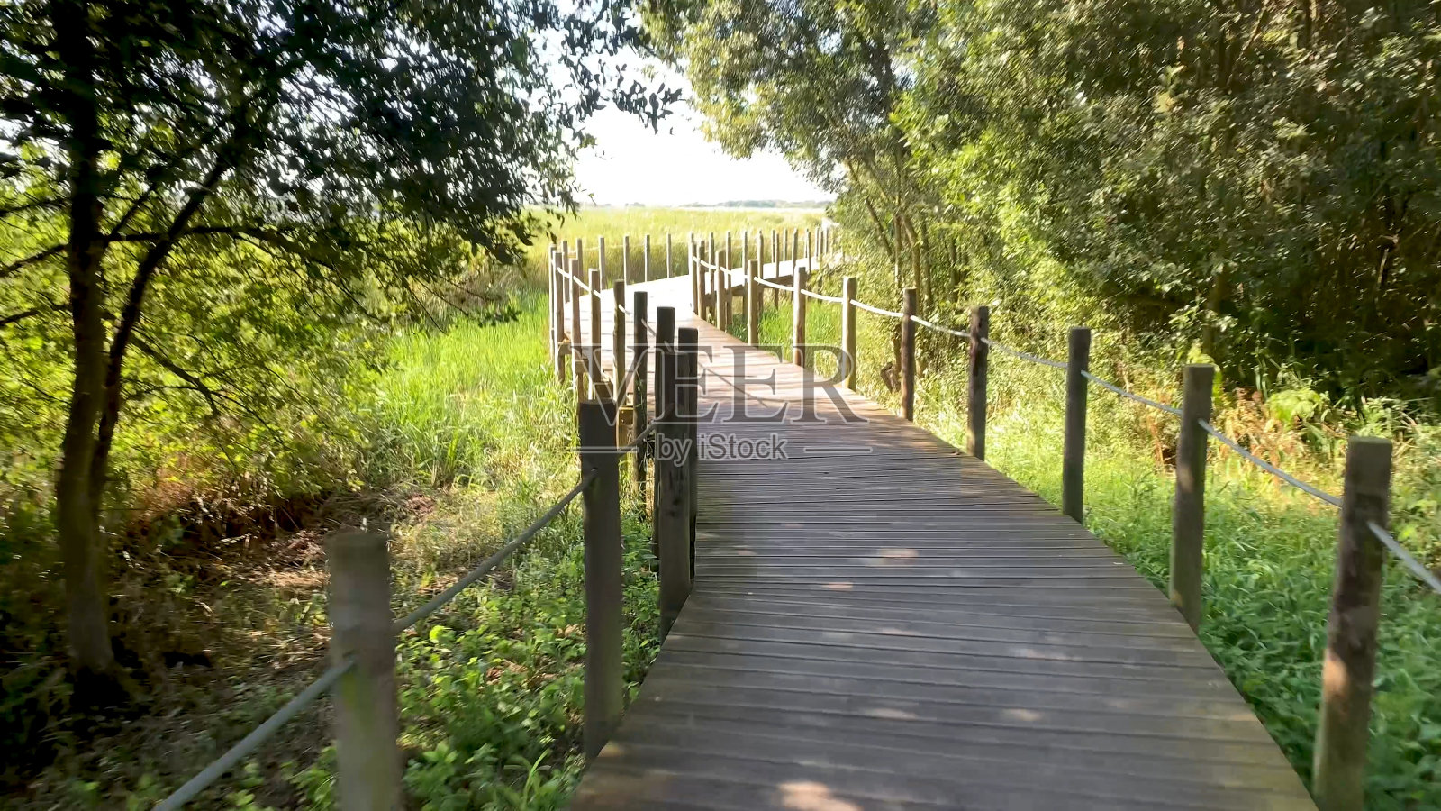 骑自行车的视角镜头照片摄影图片