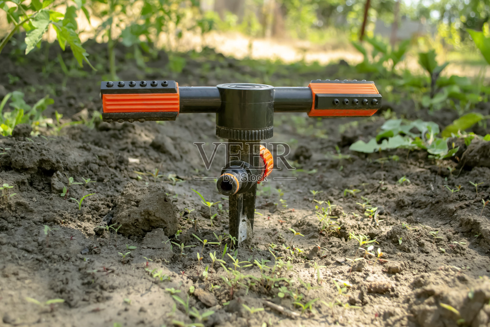 花园里的塑料洒水器。为花园浇水的旋转洒水器。花园里的洒水器竖在地上。照片摄影图片