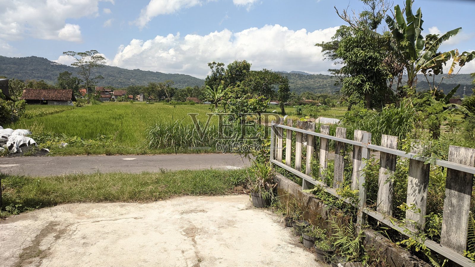 自然主页照片摄影图片