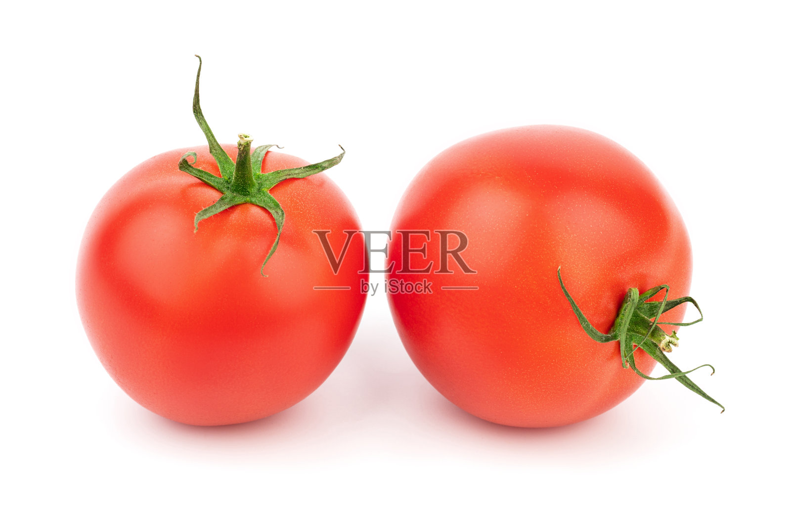 在白色背景上分离的番茄。白色背景上的新鲜蔬菜。照片摄影图片