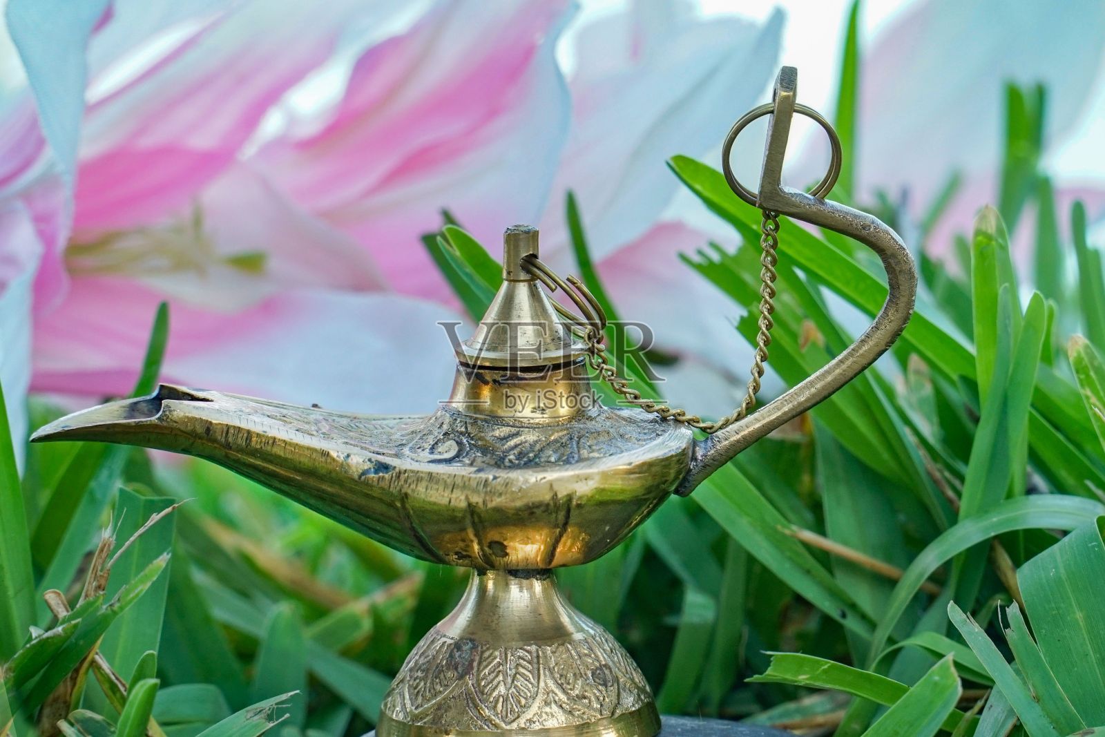 金精灵灯在自然环境中照片摄影图片