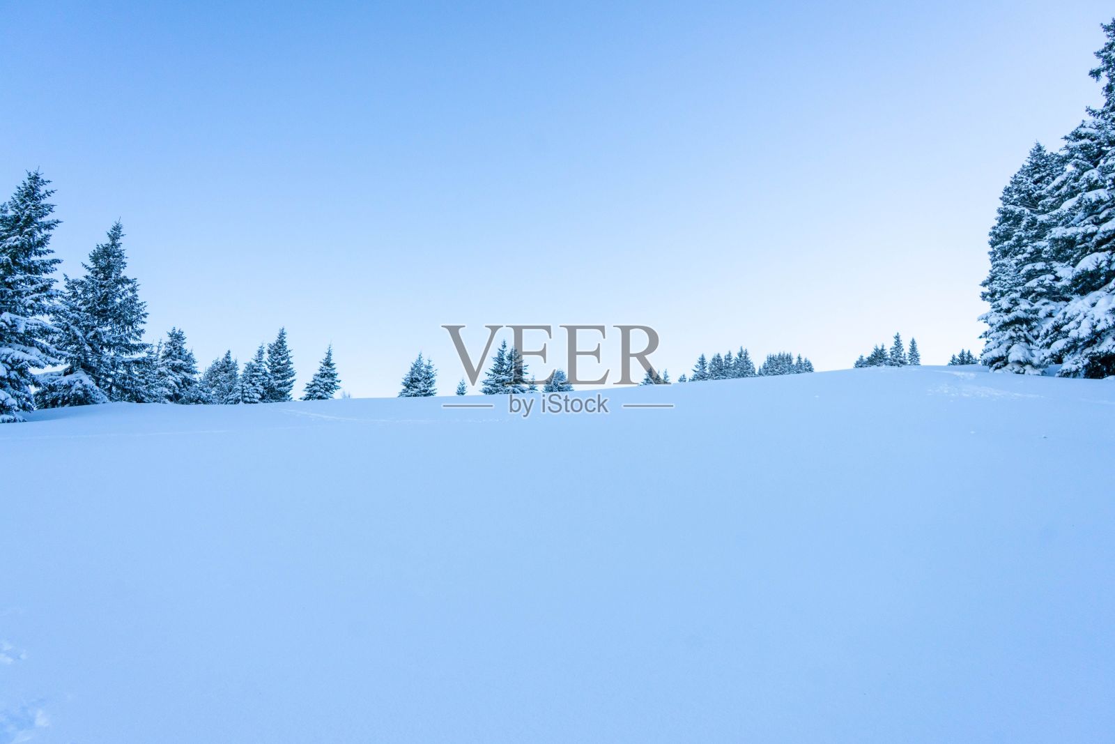 风景如画的冬季景观，树木在白雪覆盖的滑雪斜坡上照片摄影图片