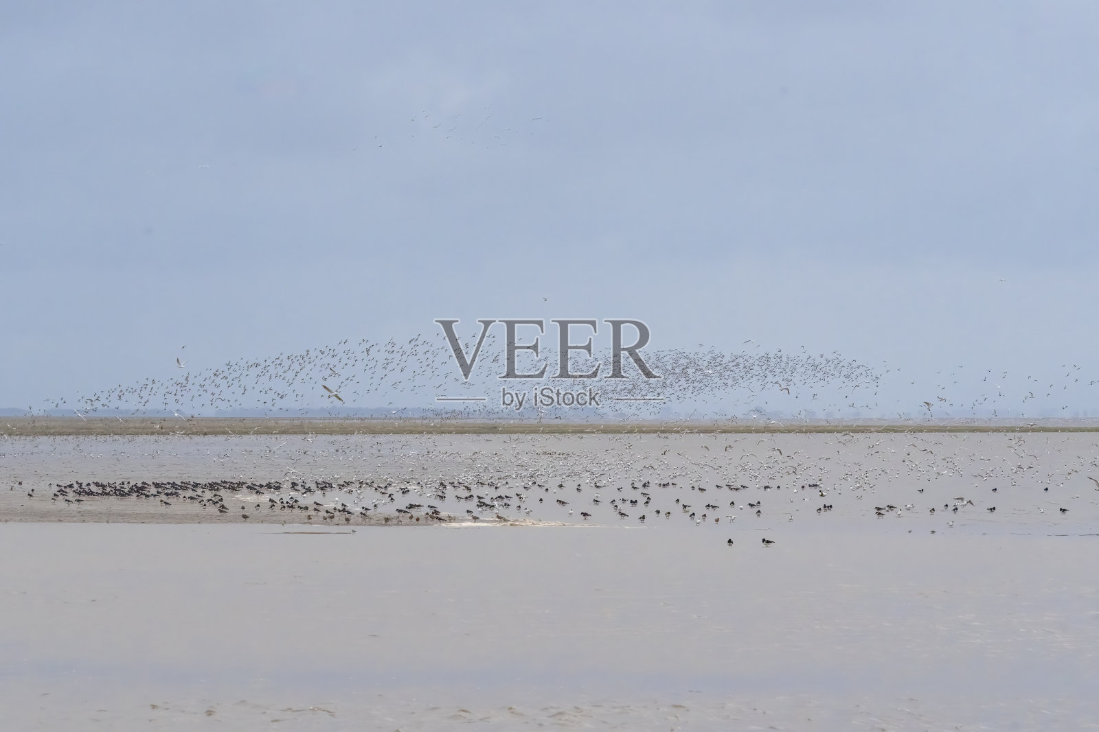 斯奈提沙姆非常壮观，涨潮时涉水者聚集在斯奈提沙姆的泥滩上。照片摄影图片