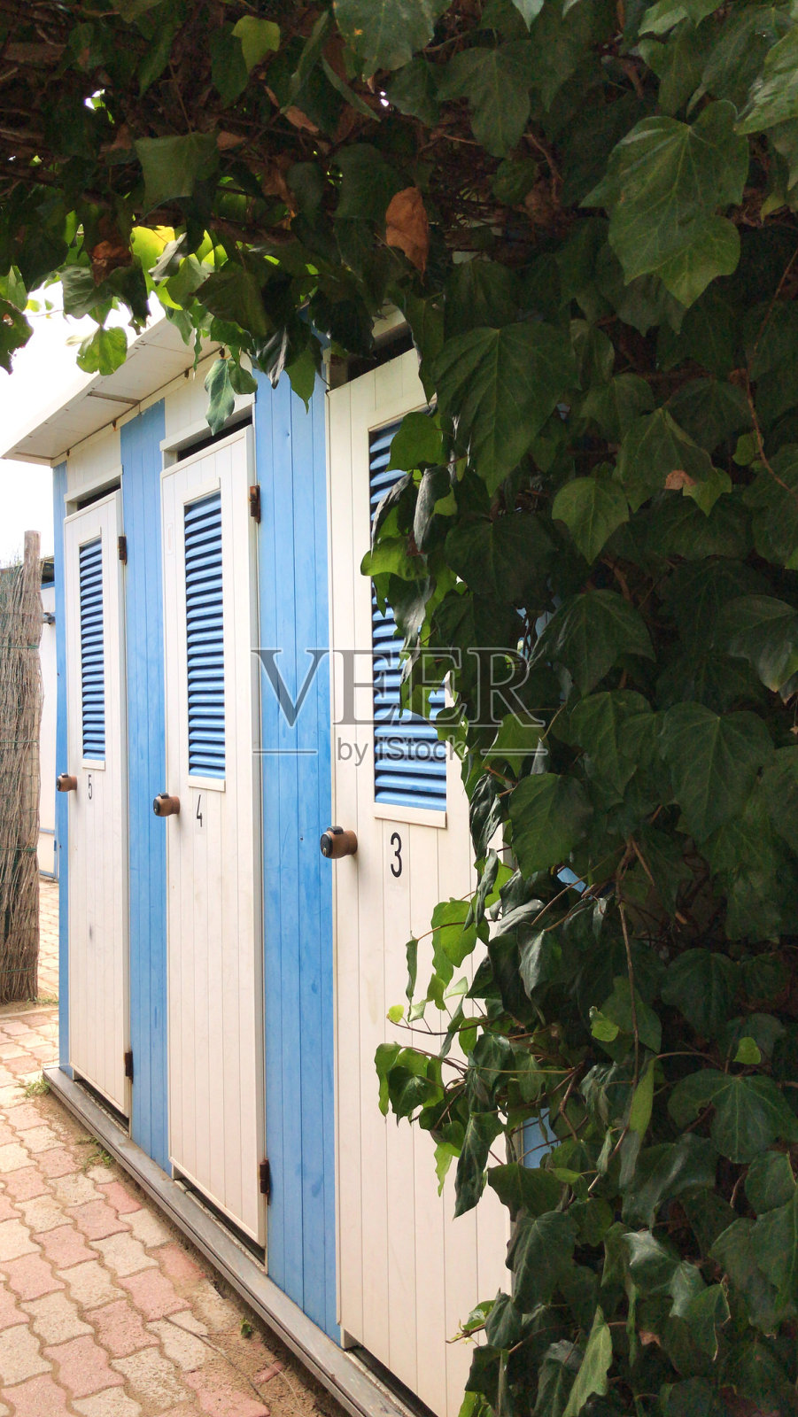 在凡尔赛亚的海滩边照片摄影图片