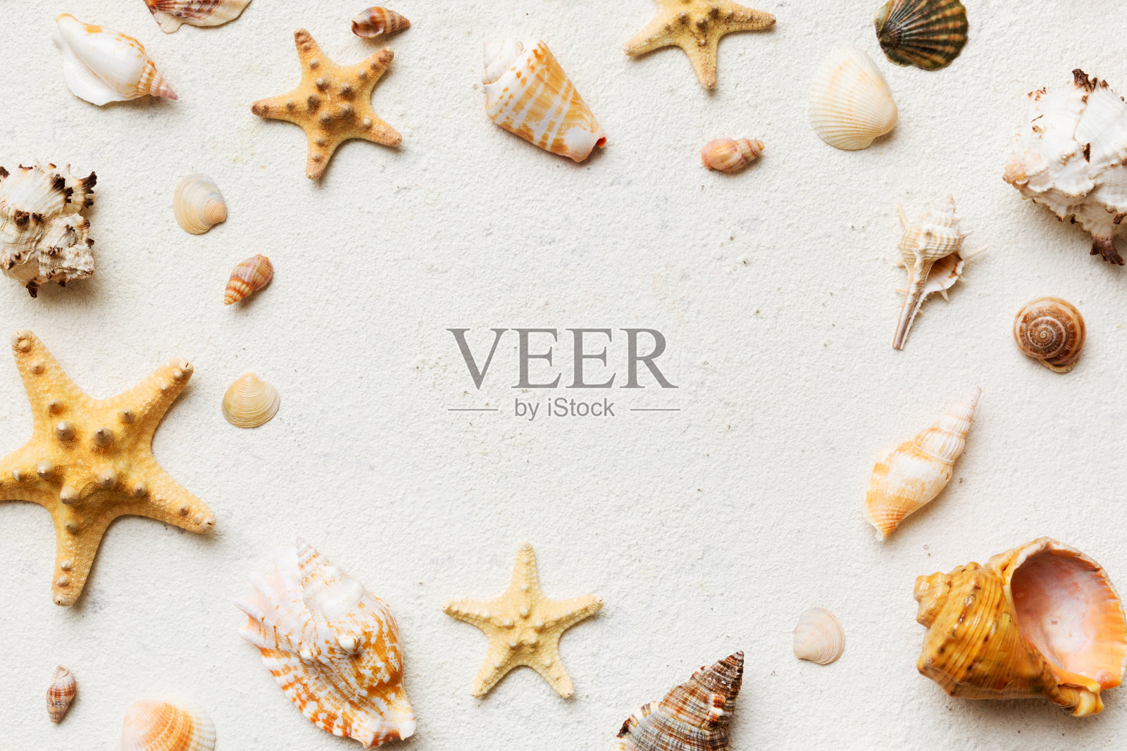 在彩色的桌子上平铺着美丽的海星和海贝壳的构图，顶部有文字的复制空间照片摄影图片