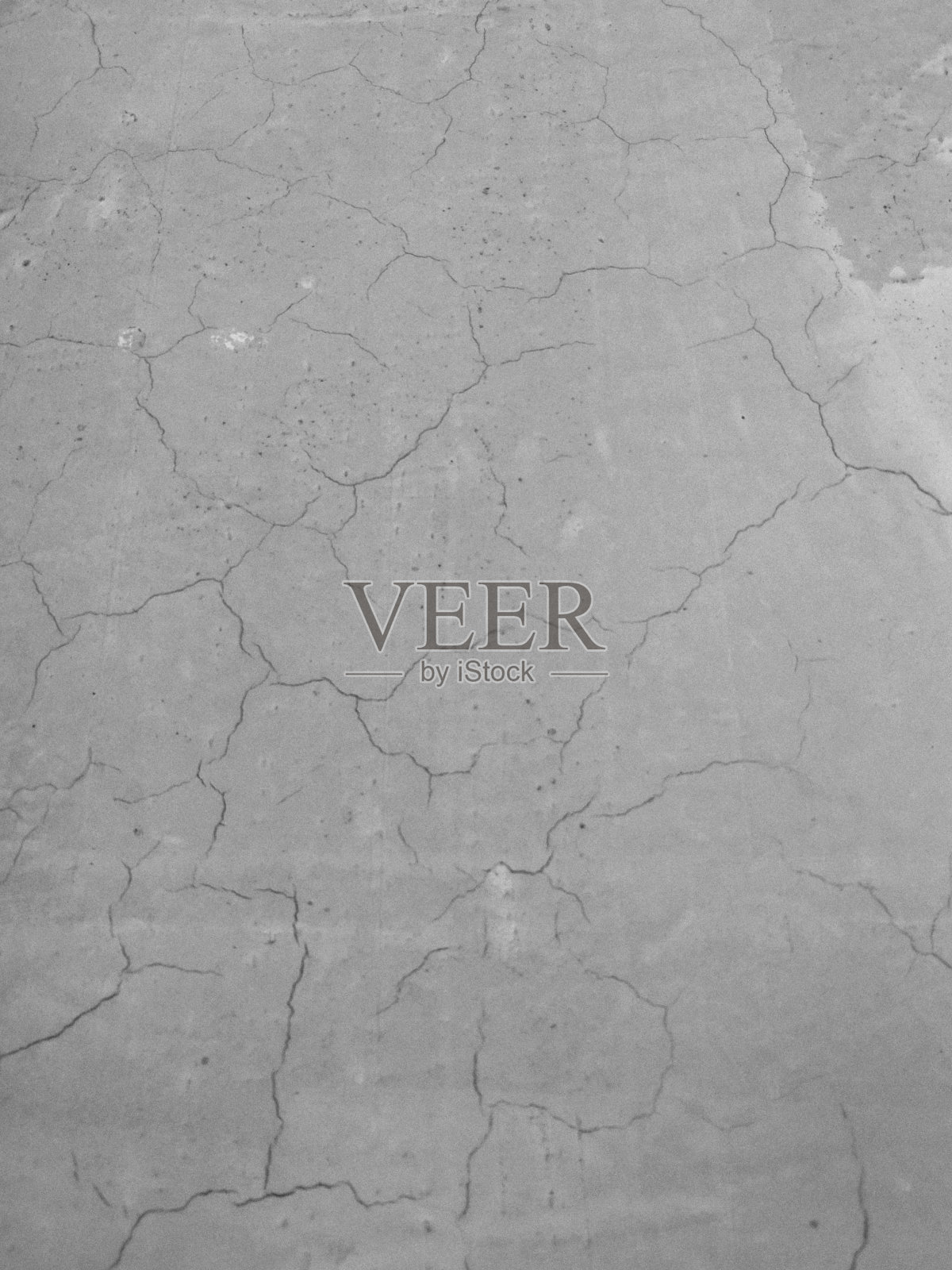 背景照片摄影图片