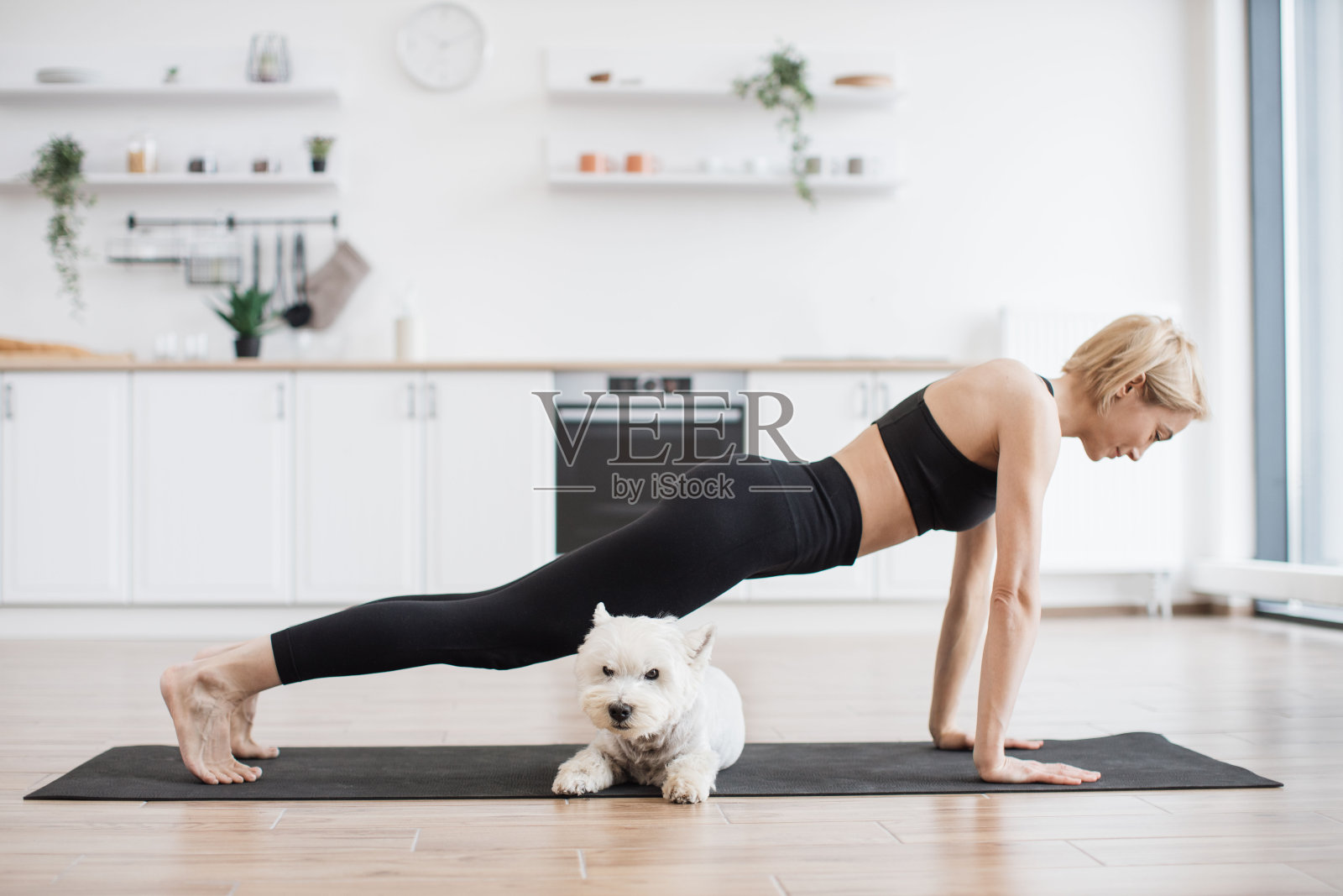 狗狗躺在垫子上，主人在室内做仰卧式照片摄影图片