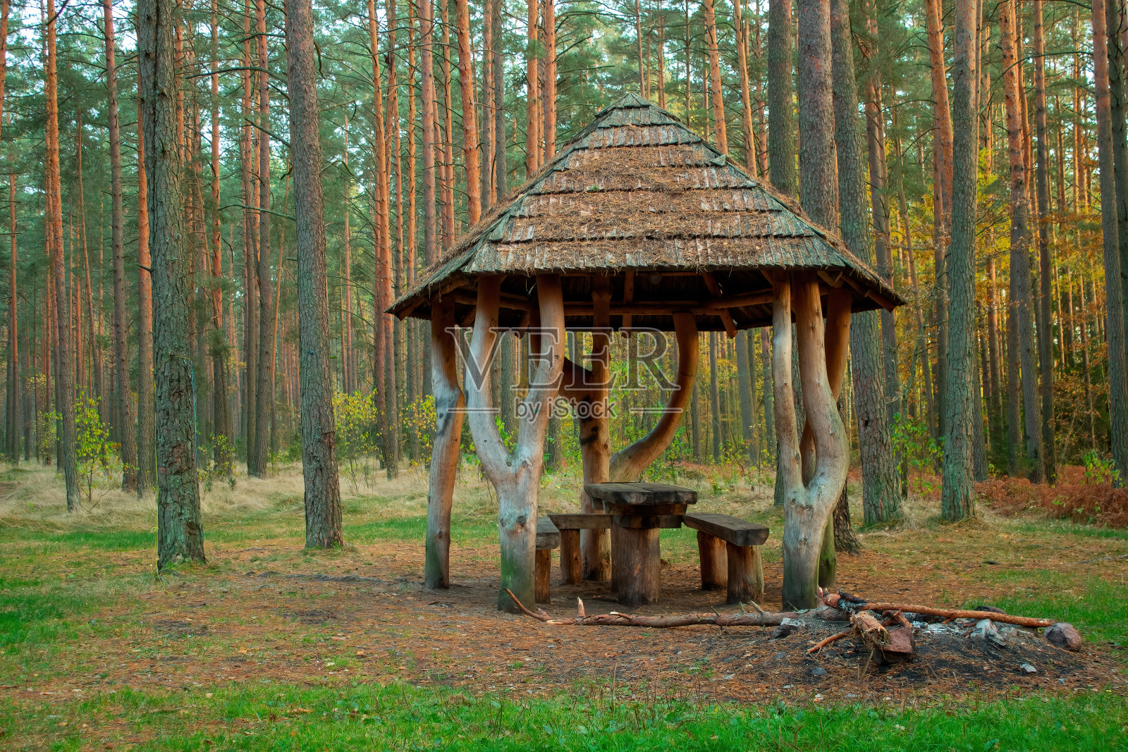 木制的森林凉亭。屋顶、桌子和长凳。休息区域。照片摄影图片