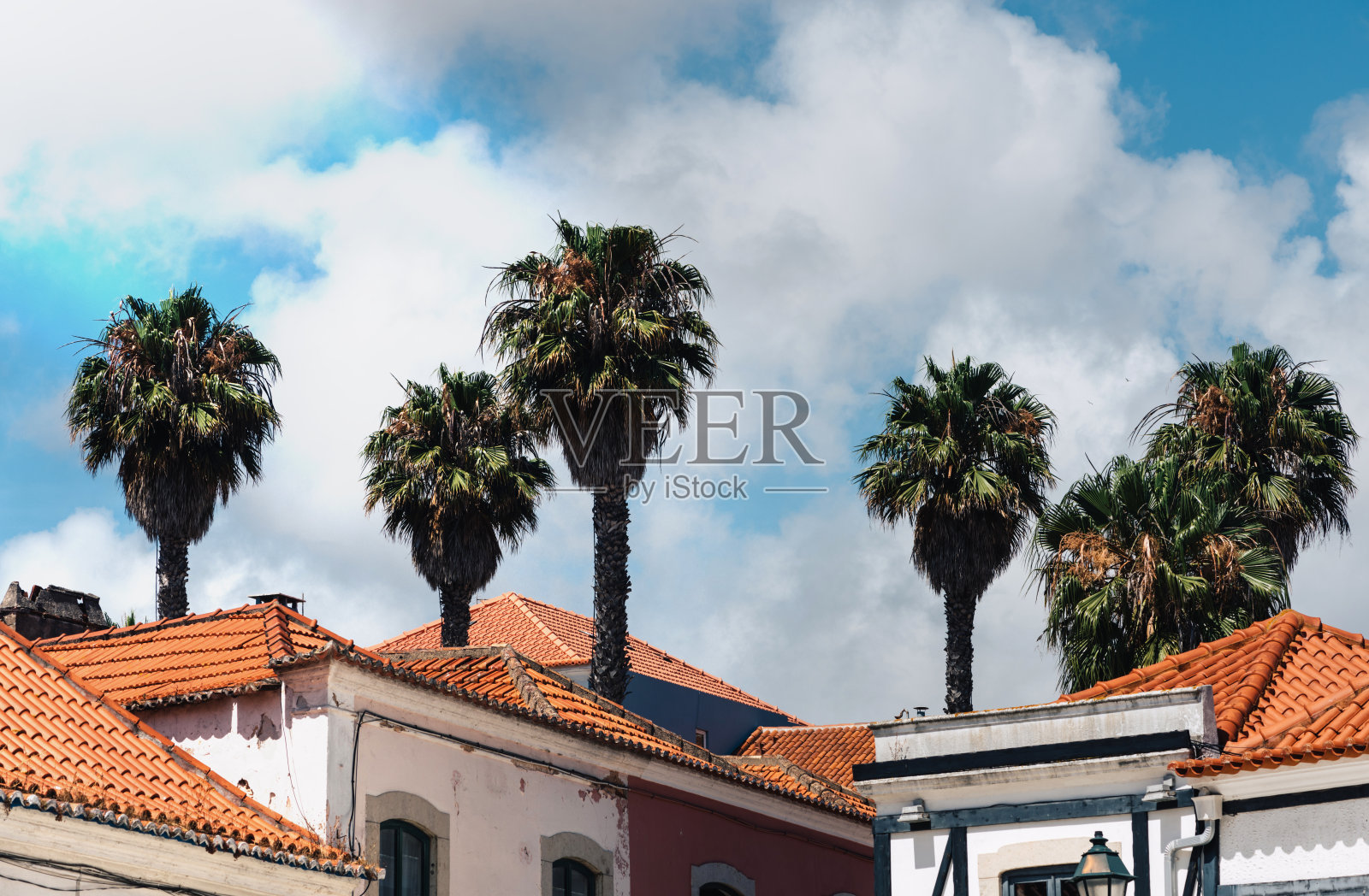 卡斯凯伊斯的传统葡萄牙建筑与棕榈树照片摄影图片