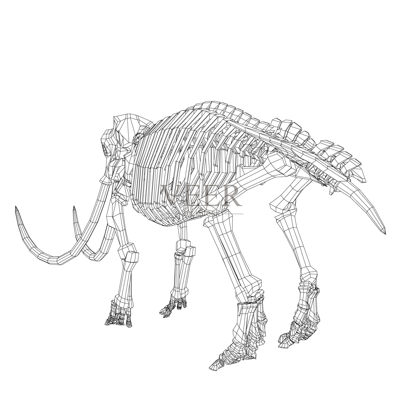 线框猛犸骨架在孤立的白色背景上的矢量插图。矢量史前线框骨架猛犸象在白色背景孤立的插图插画图片素材