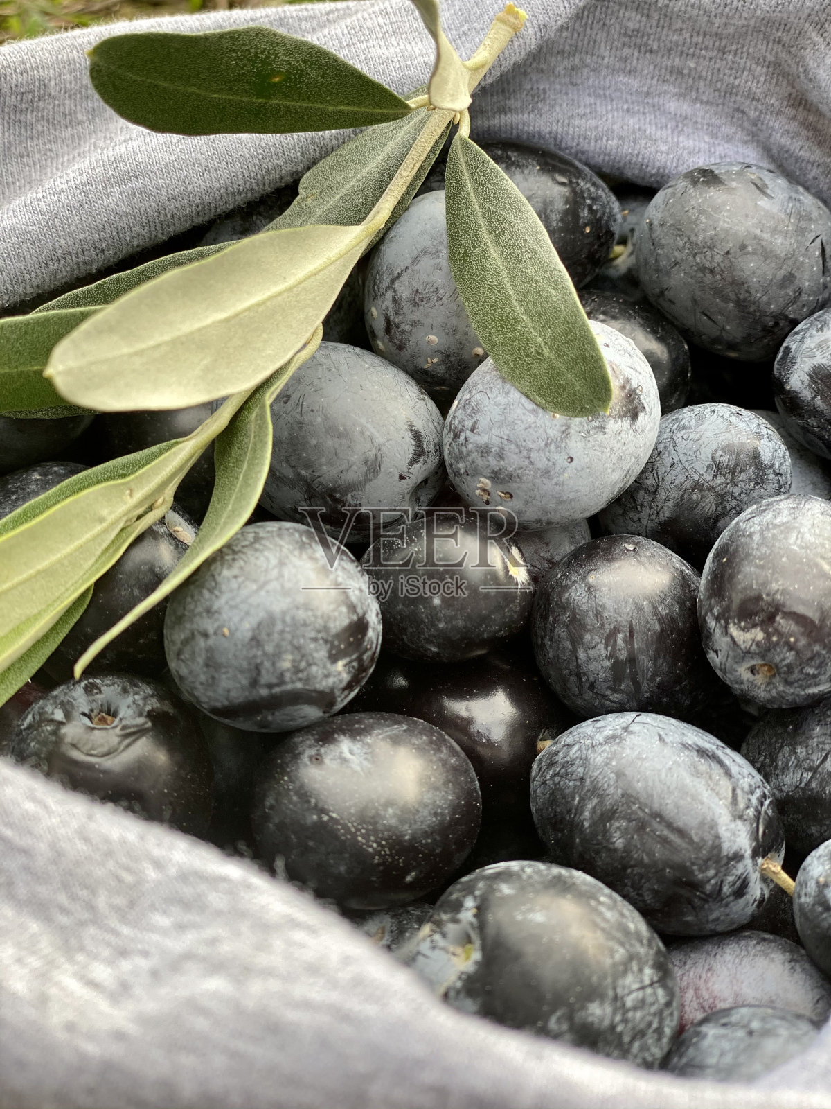 橄榄照片摄影图片