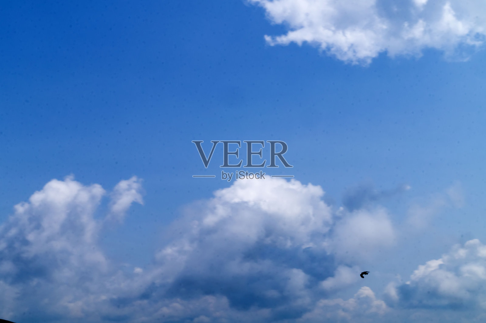 蓝天白云和一只鹰照片摄影图片