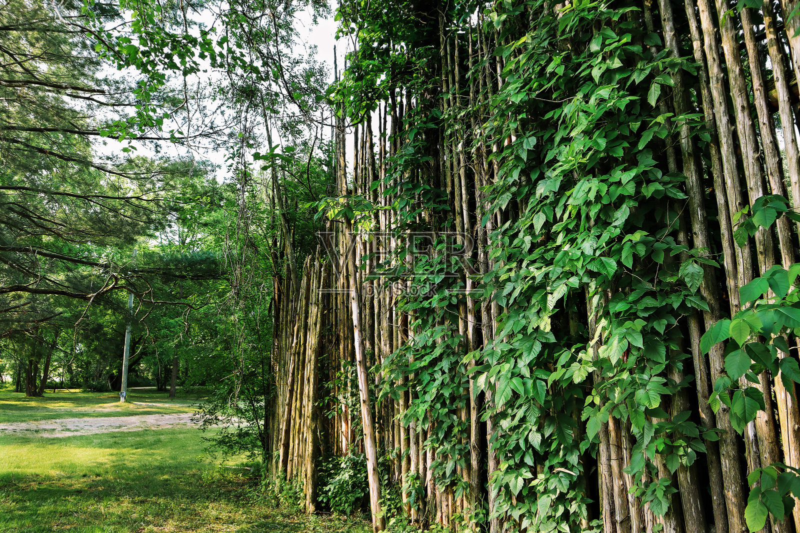 土著定居点布兰特县照片摄影图片
