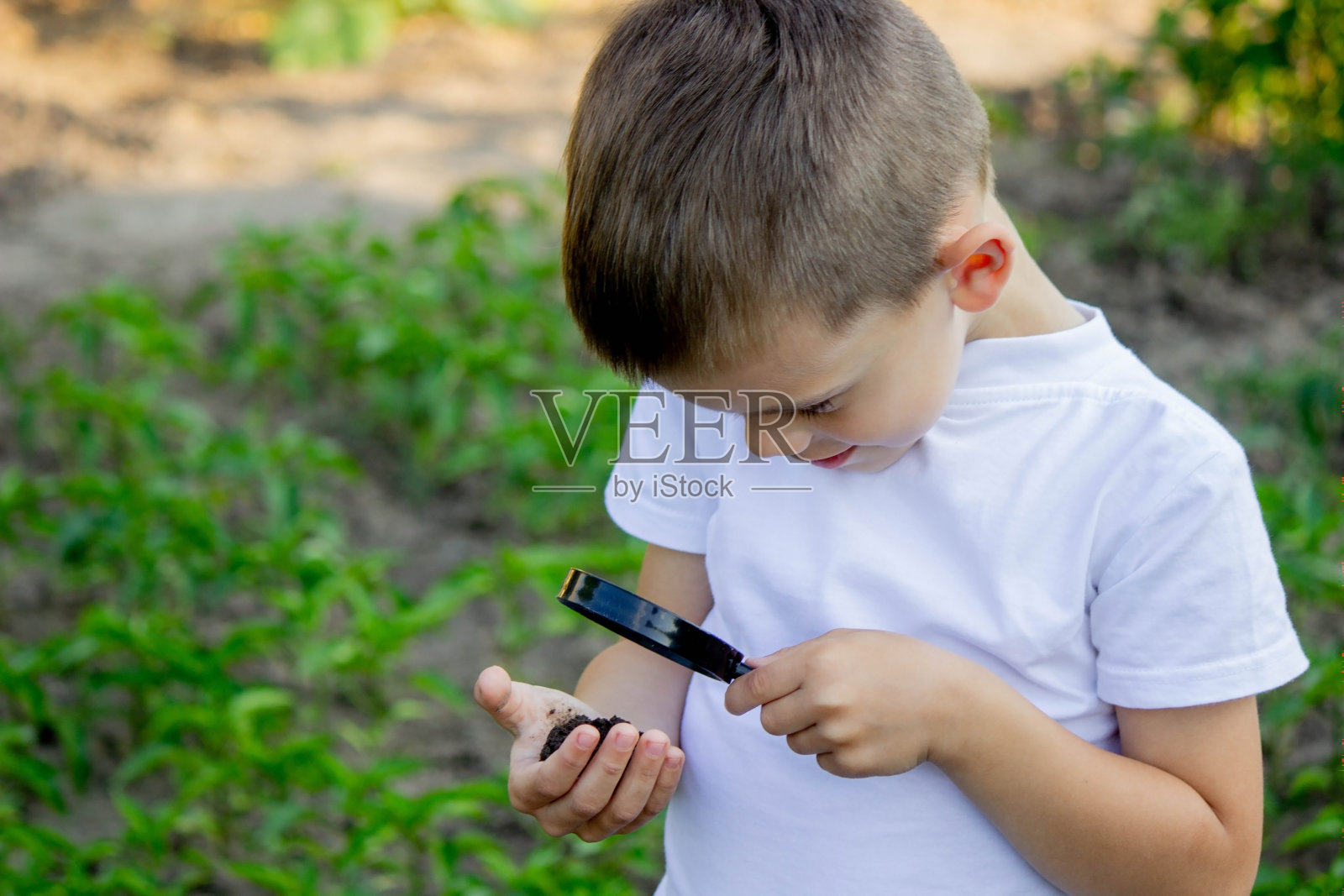 孩子手里拿着泥土，透过放大镜看。照片摄影图片