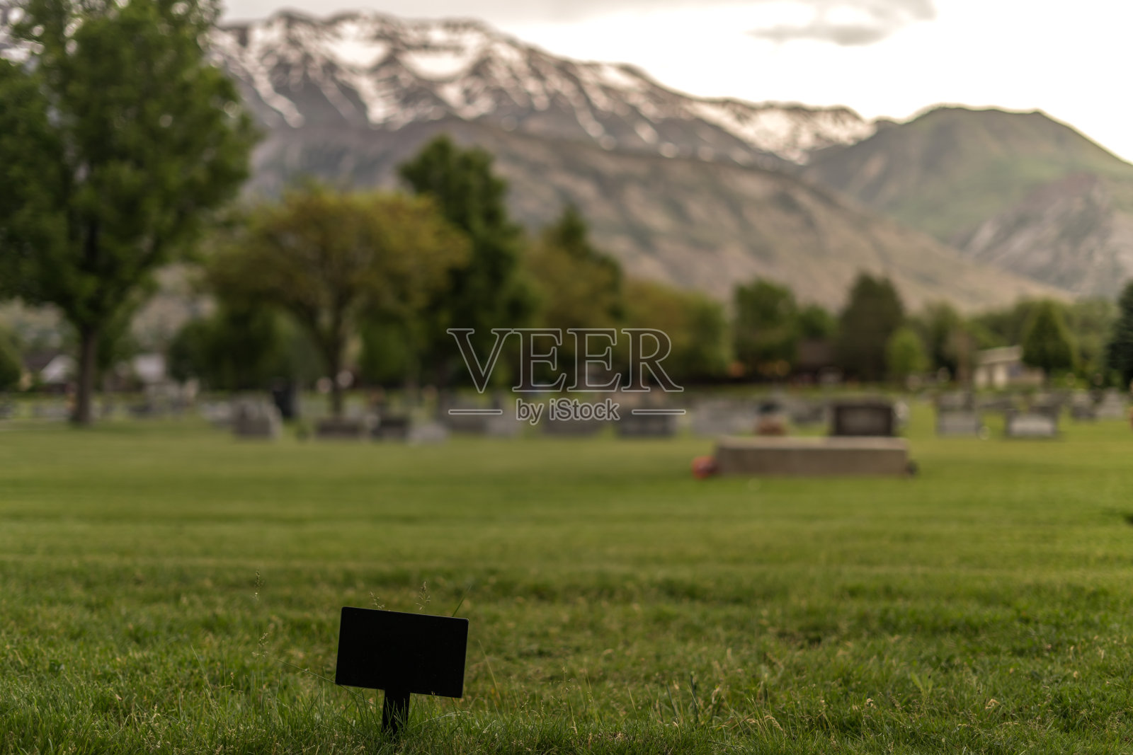 空地块黑色空白矩形小标志墓地公园照片摄影图片