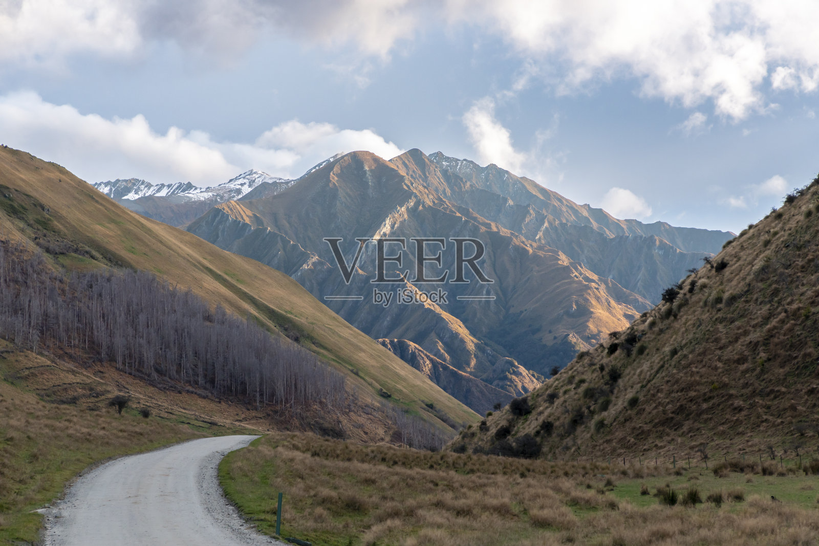 新西兰莫克湖保护区的山脉照片照片摄影图片