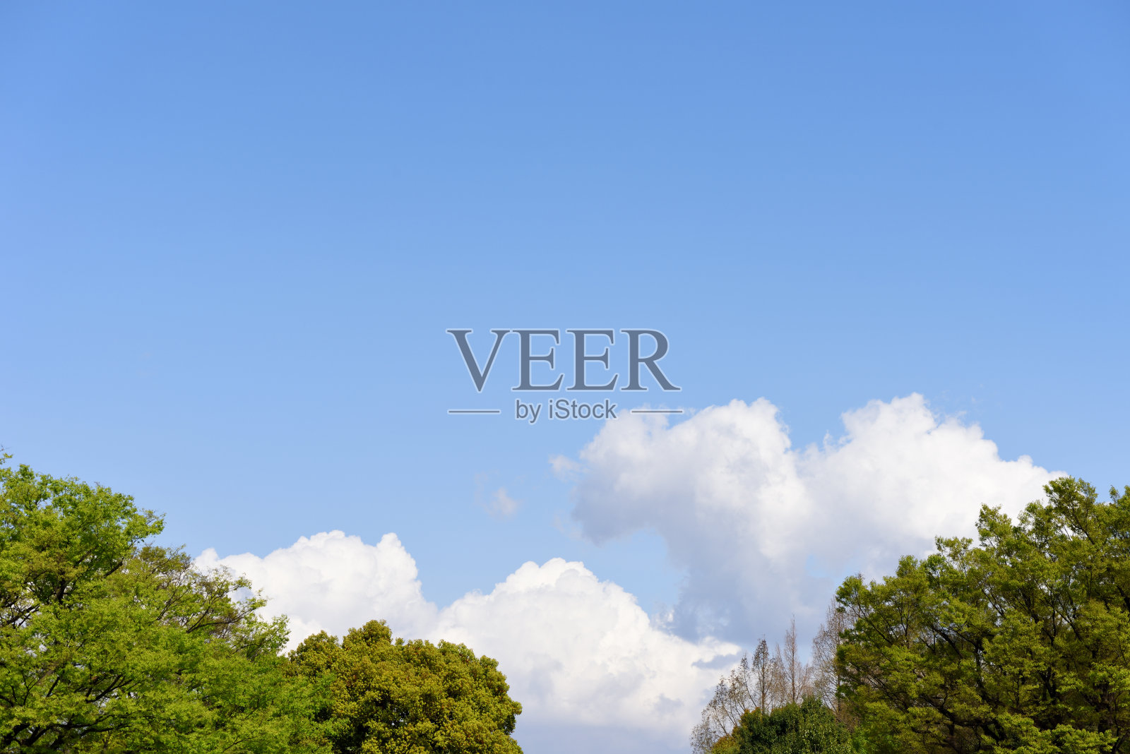 中山在蓝天照片摄影图片