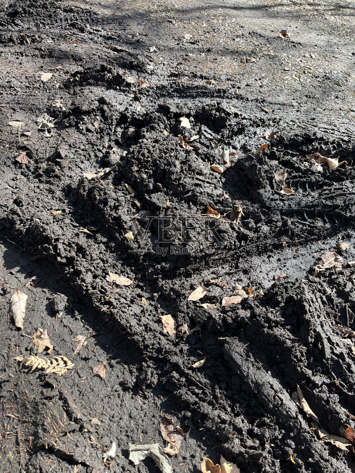 雨后路上的泥胎印照片摄影图片