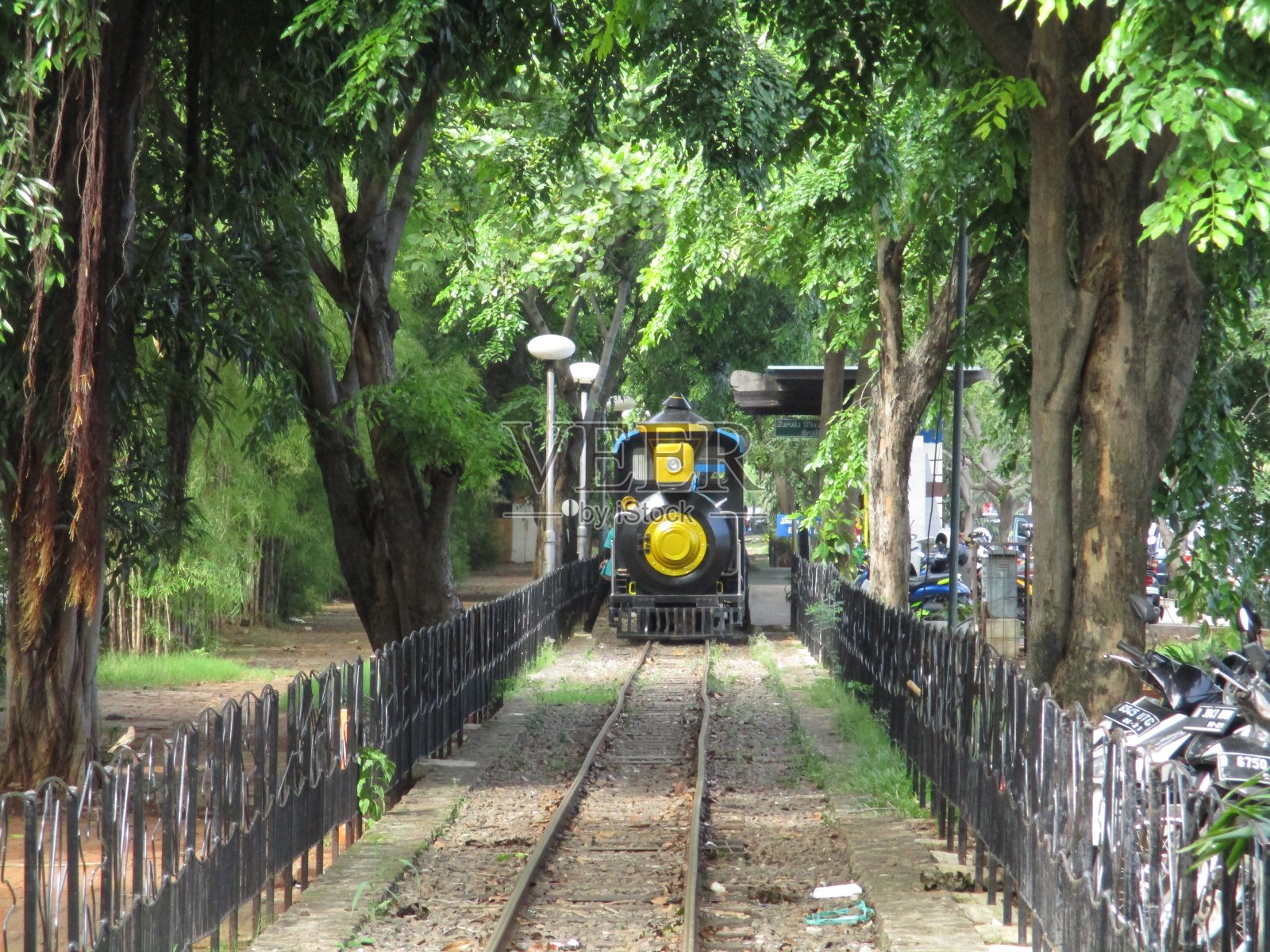 旅游小火车经过绿树成荫照片摄影图片