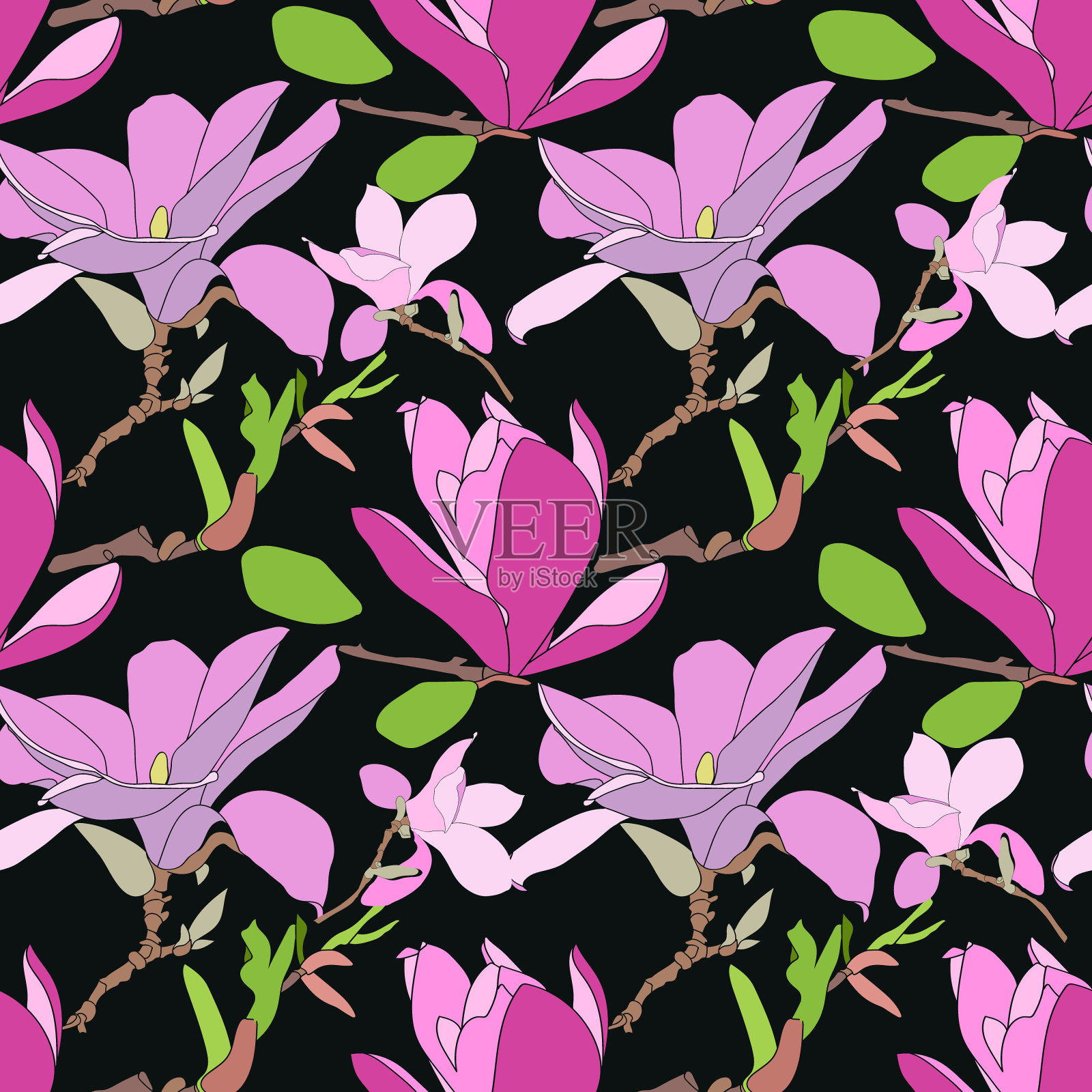 玉兰花图形。插画图片素材