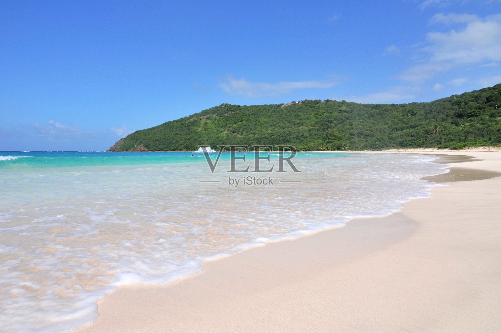 波多黎各美丽的火烈鸟海滩照片摄影图片