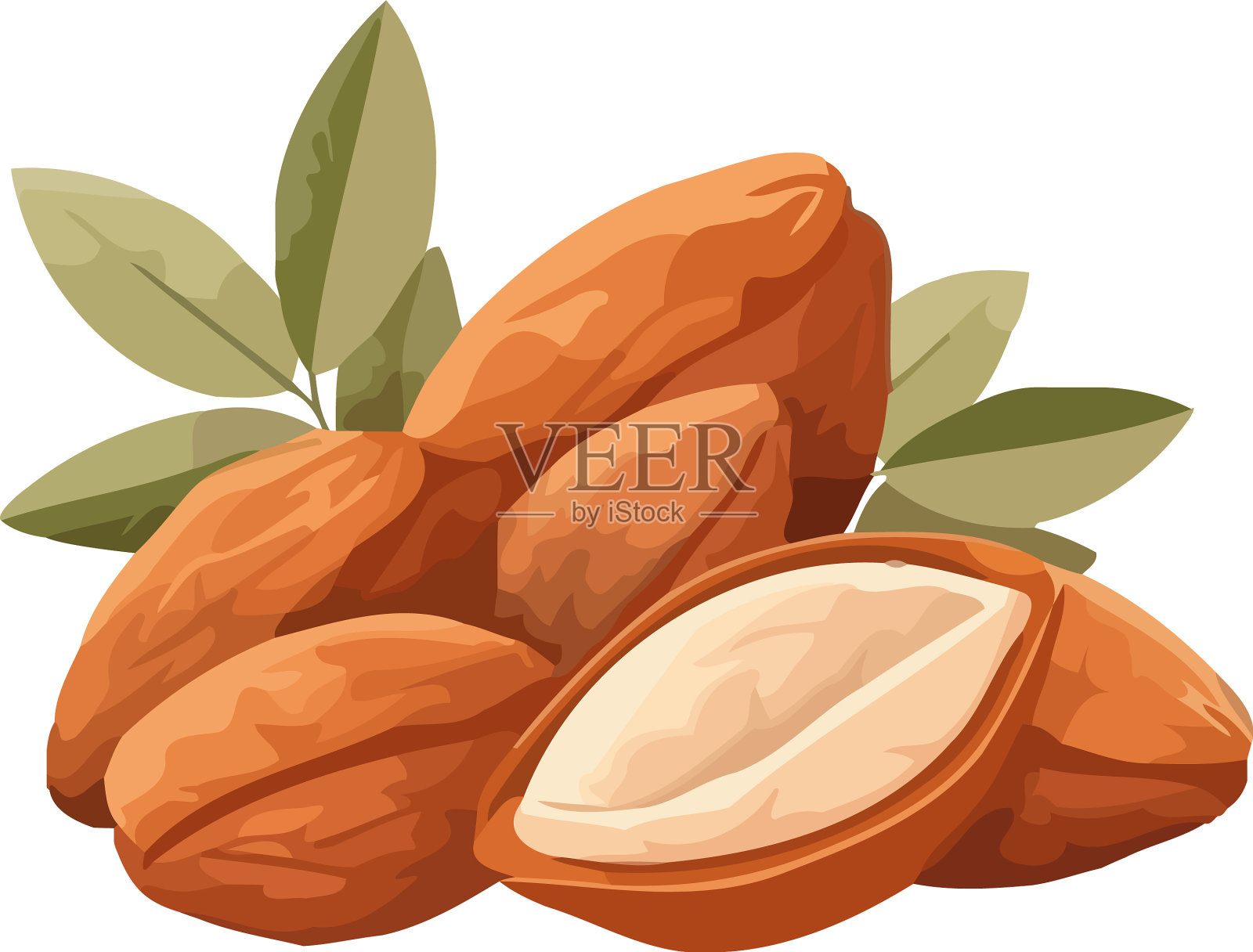 新鲜的坚果片，成熟的健康零食设计元素图片