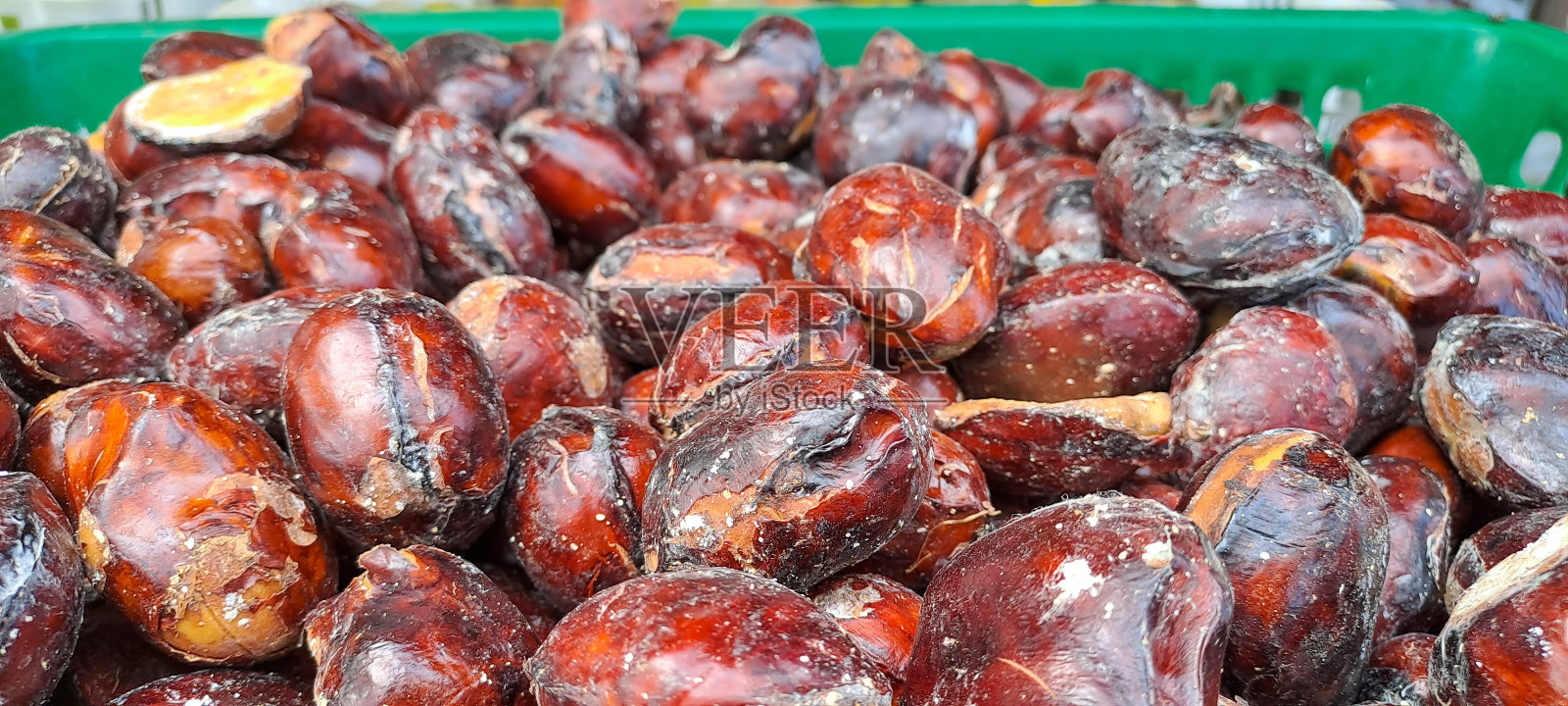 凤梨种子(Archidendron pauciflorum)照片摄影图片