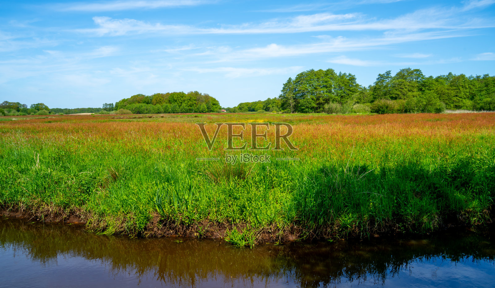 荷兰德伦特色彩斑斓的沼泽地照片摄影图片