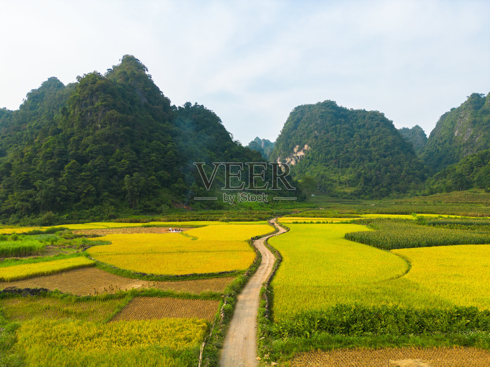 空中俯瞰新鲜的水稻梯田，绿色的农田在农村或农村地区曹邦，山丘陵山谷在亚洲，越南，中国边境。自然景观背景。照片摄影图片