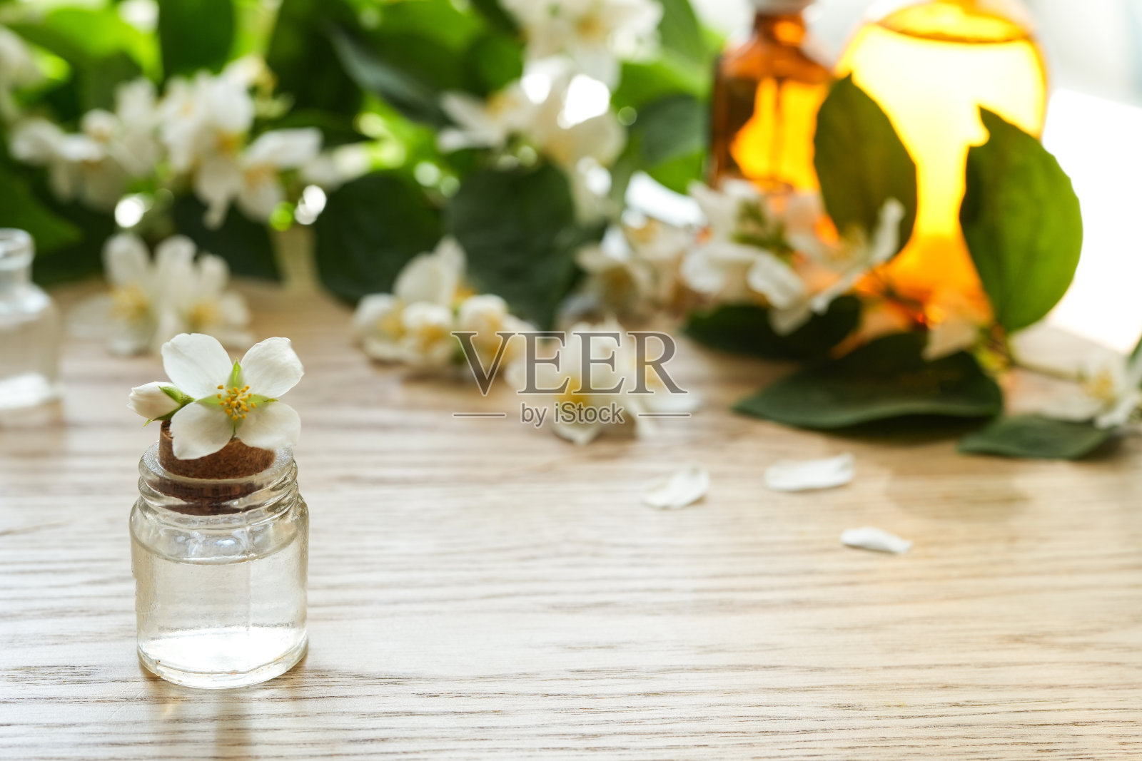 茉莉花精油(酊剂，药物，输液)瓶，新鲜茉莉花。花精油。草药。侧视图，复制空间。照片摄影图片