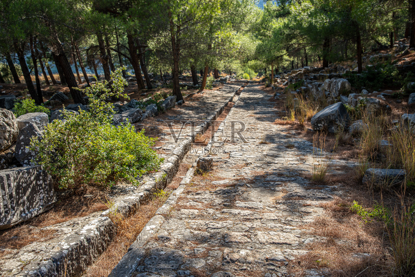 Priene照片摄影图片