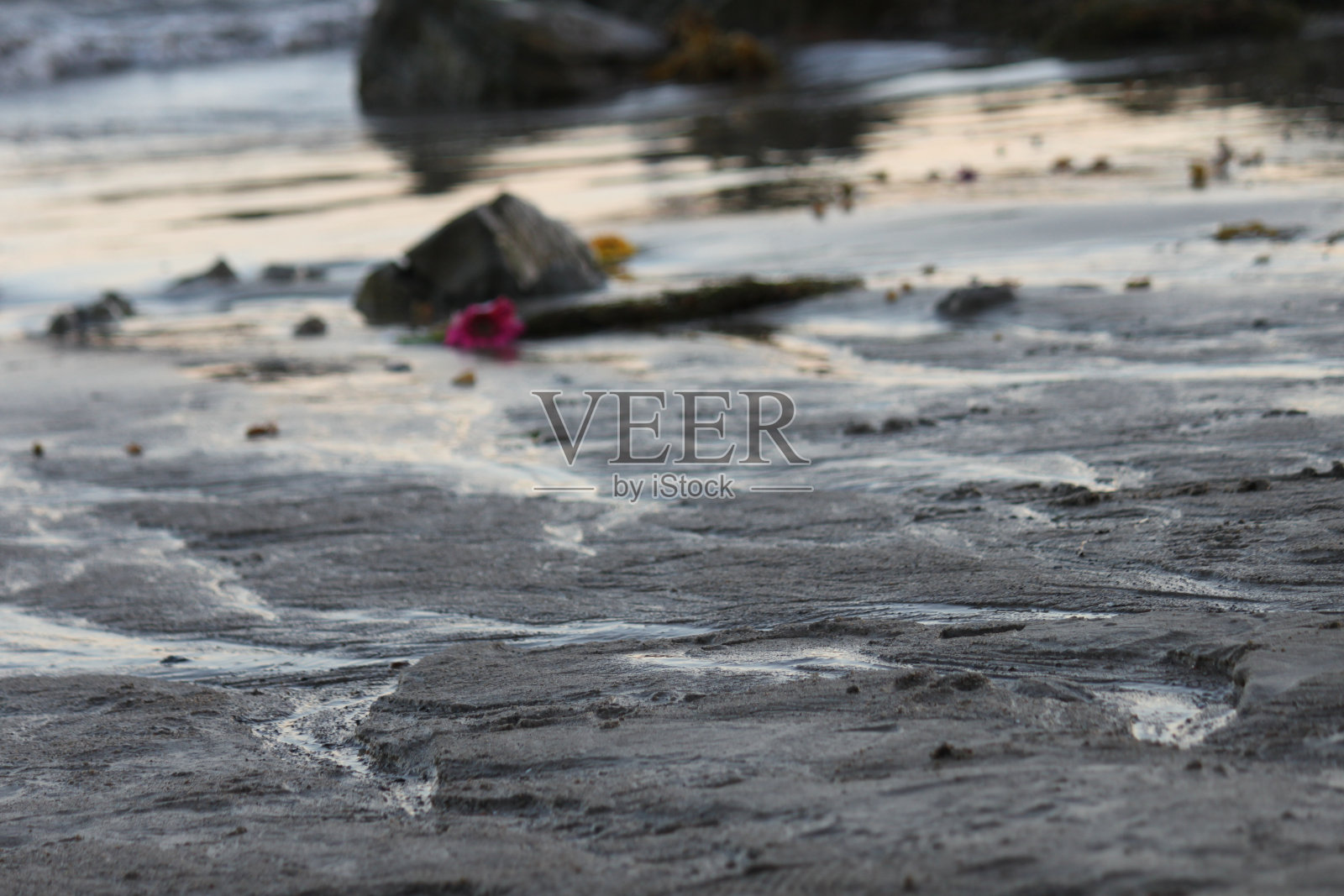 加州马里布照片摄影图片