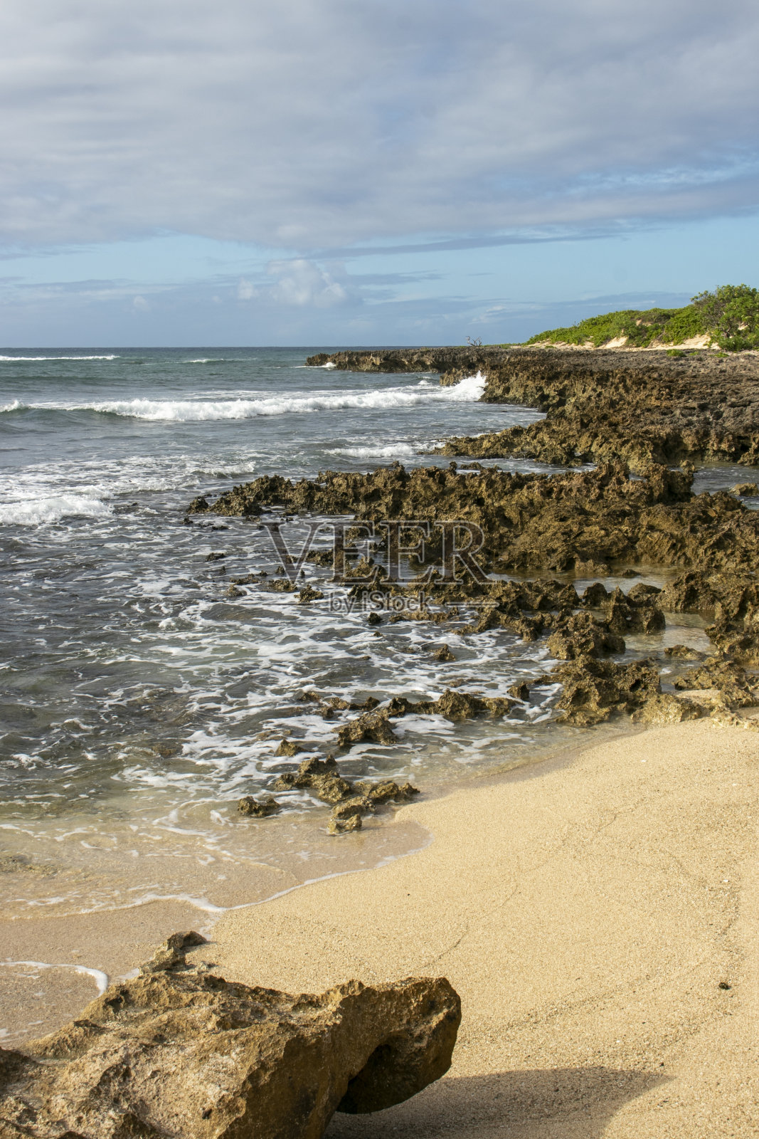 夏威夷海滩和沙滩在瓦胡岛的海龟海滩照片摄影图片