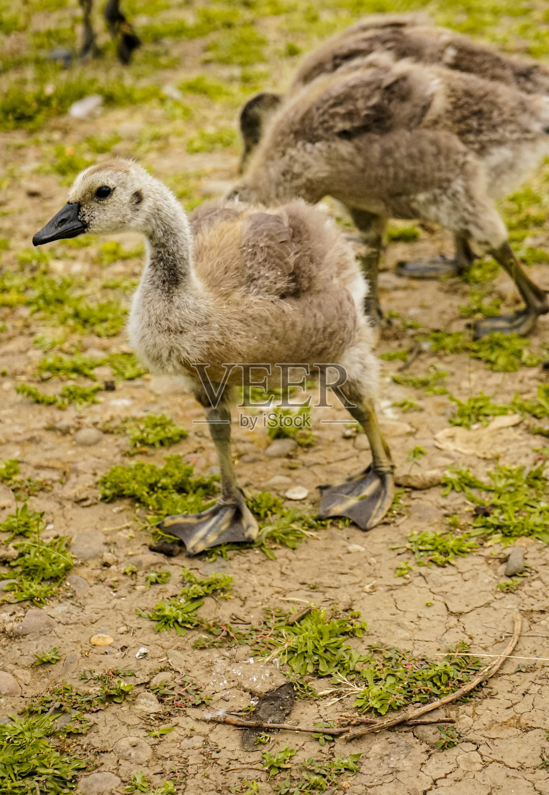 第一次接触照片摄影图片