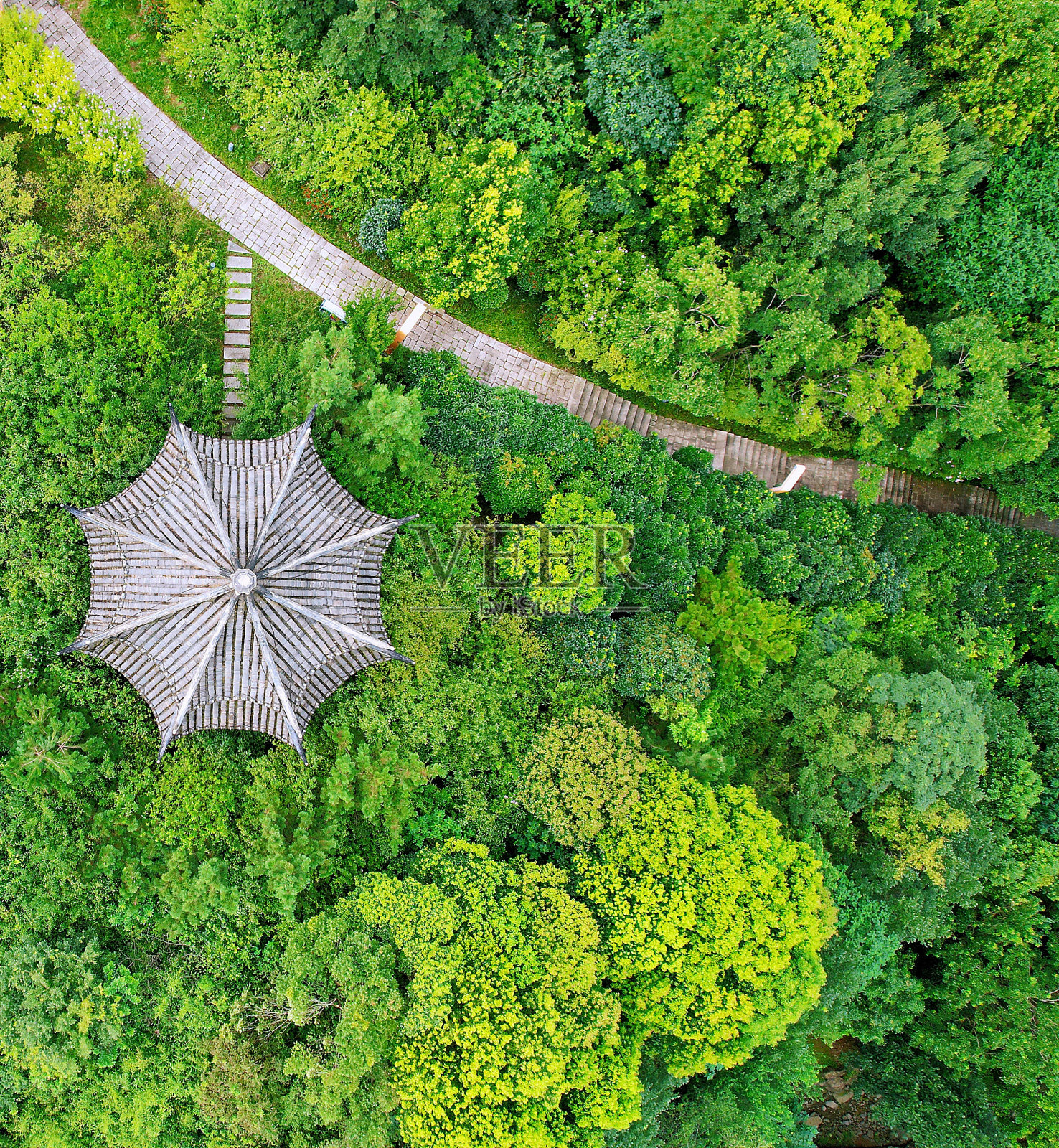 公园航拍照片摄影图片