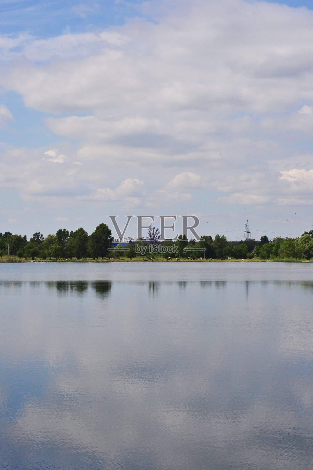 马在一个大湖附近吃草照片摄影图片