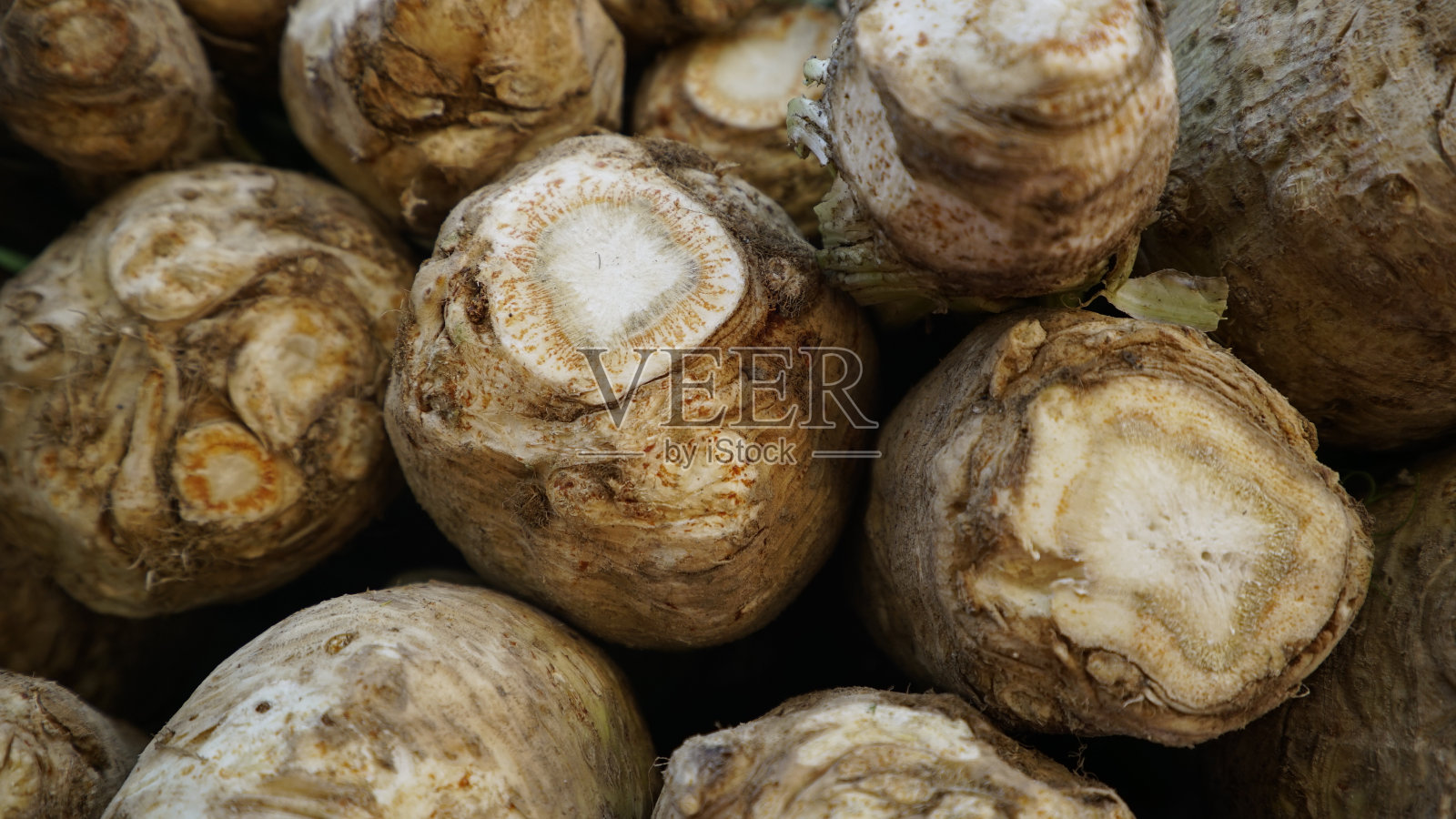 芹菜照片摄影图片