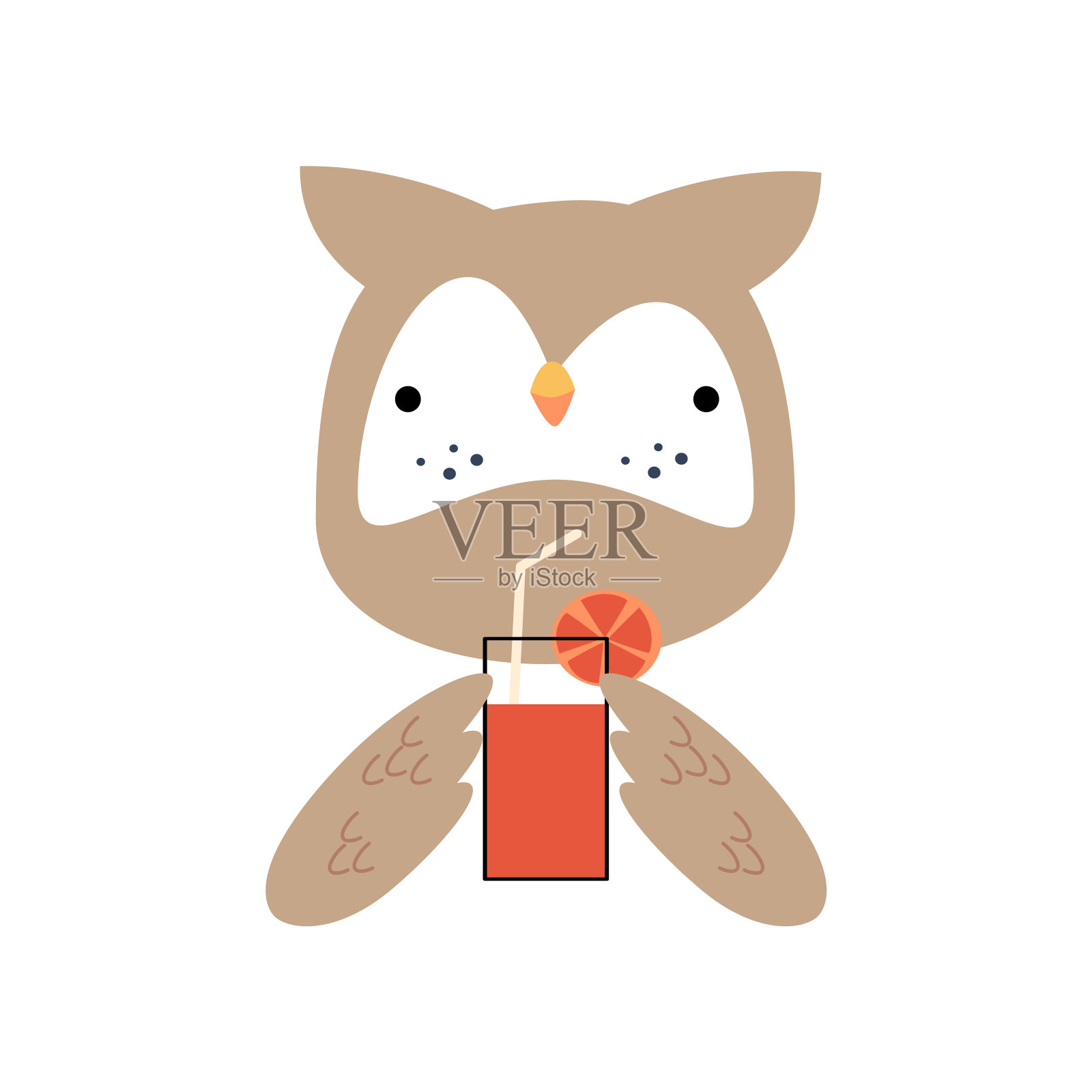 穿着夏装的猫头鹰鸟。野生动物。矢量插图。插画图片素材