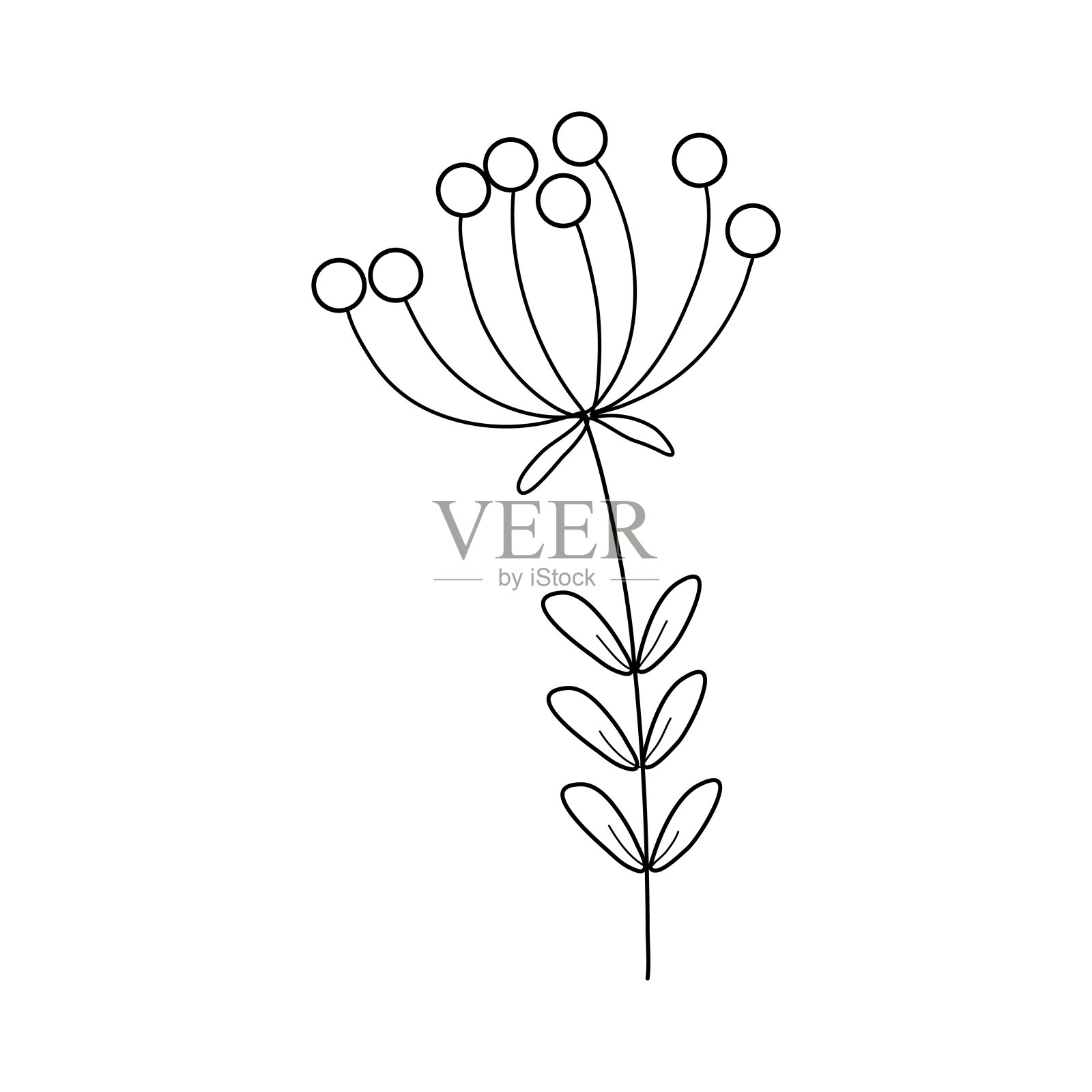 简单的黑白花。装饰和设计元素。插画图片素材