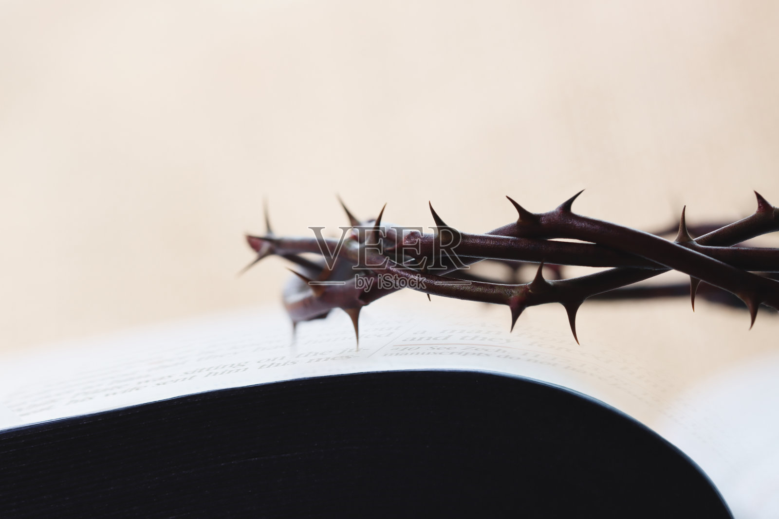 荆棘冠象征耶稣基督在十字架上所受的苦难和圣经照片摄影图片