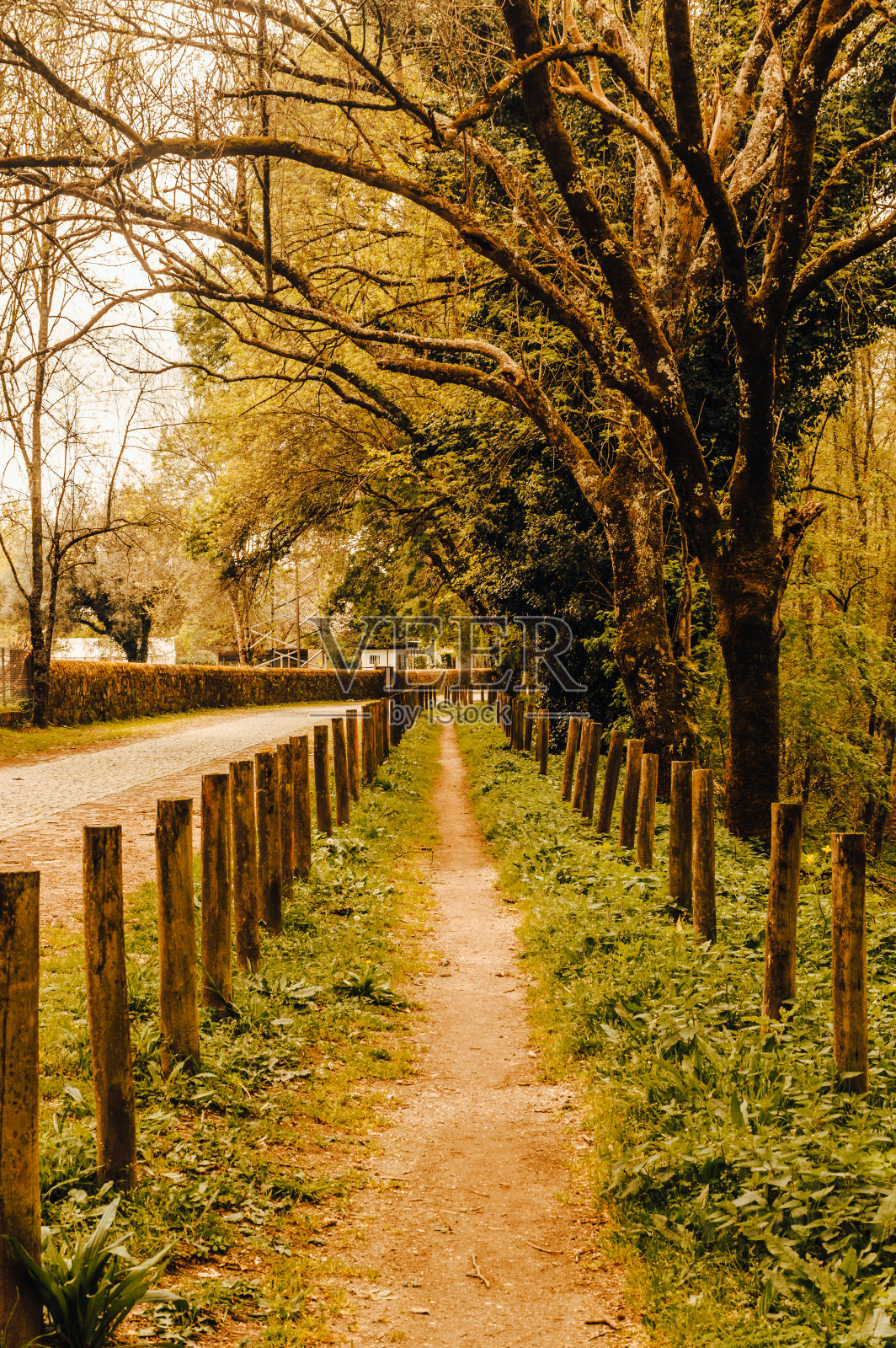 深入大自然照片摄影图片