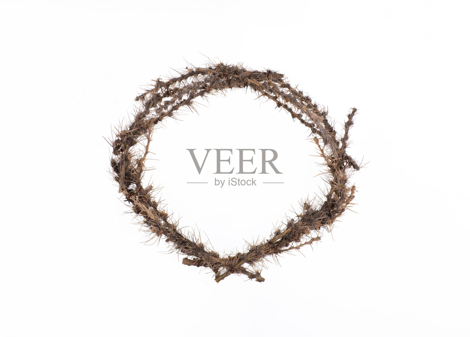 在白色背景上孤立的荆棘花环照片摄影图片