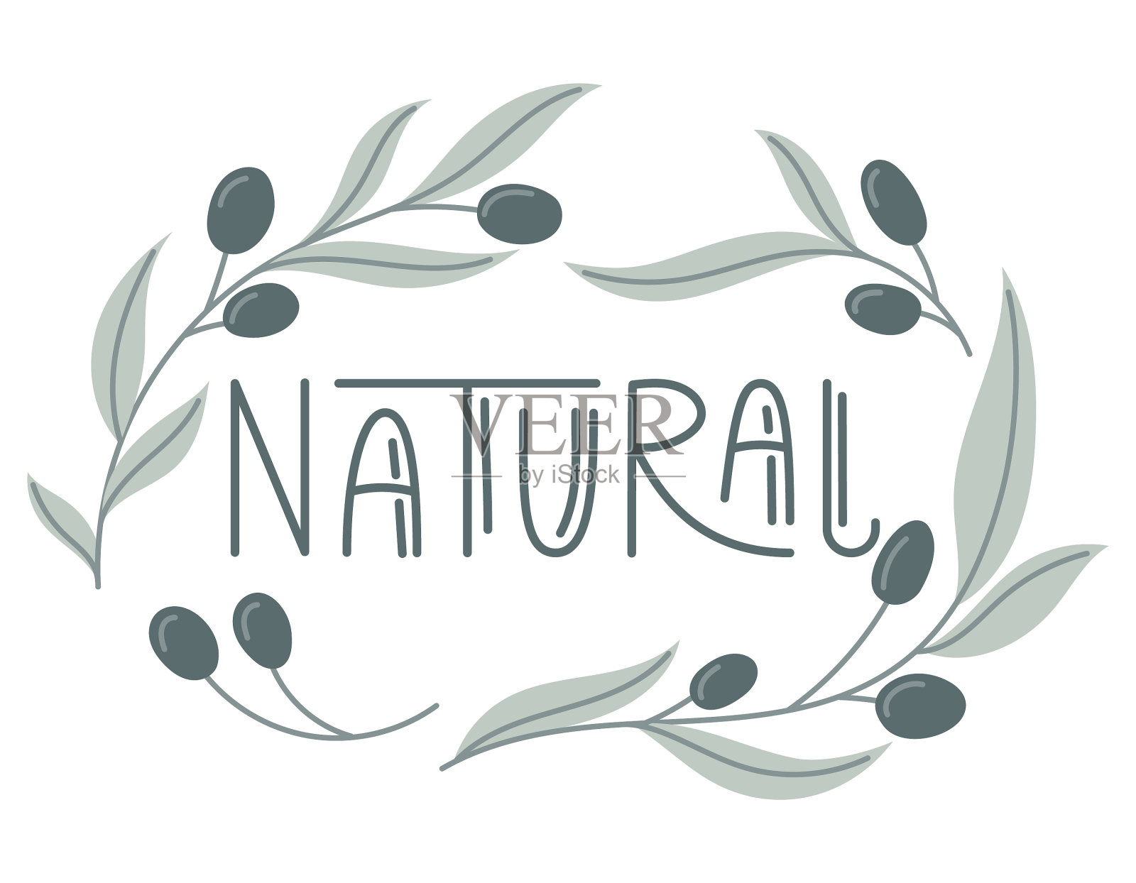 手写字母天然橄榄枝带插画图片素材